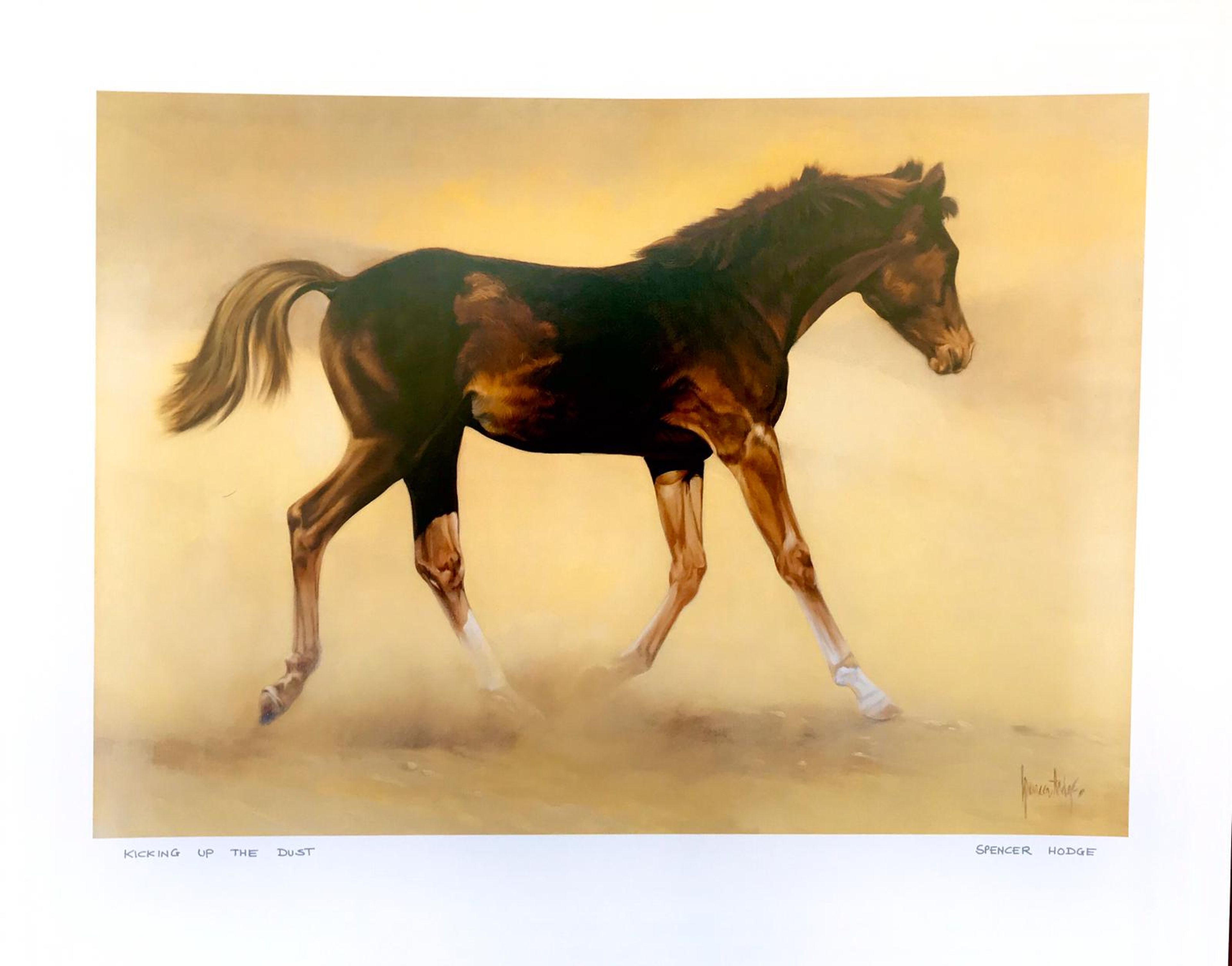 Affiche d'un jeune cheval