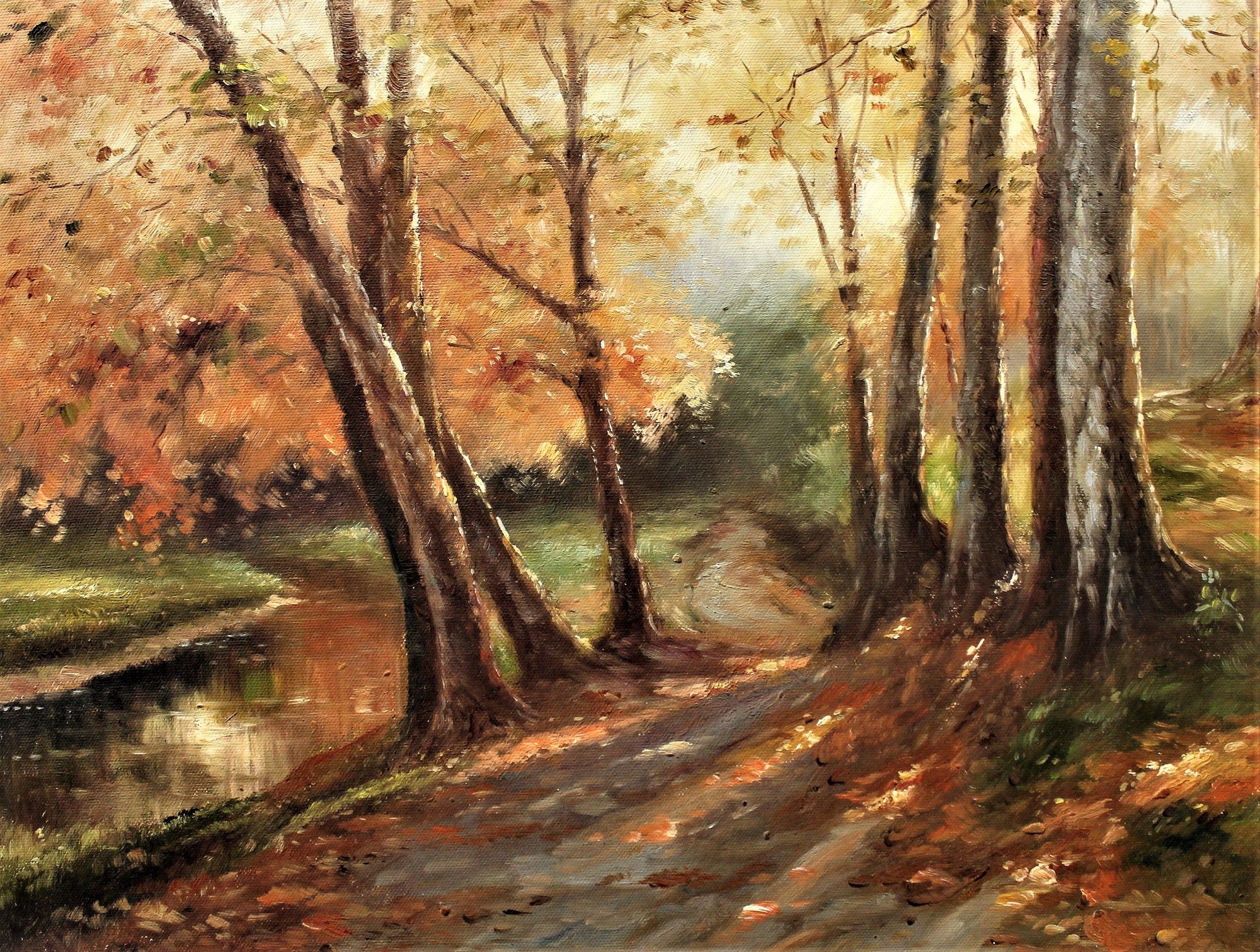 Arbres d'automne aux couleurs changeantes