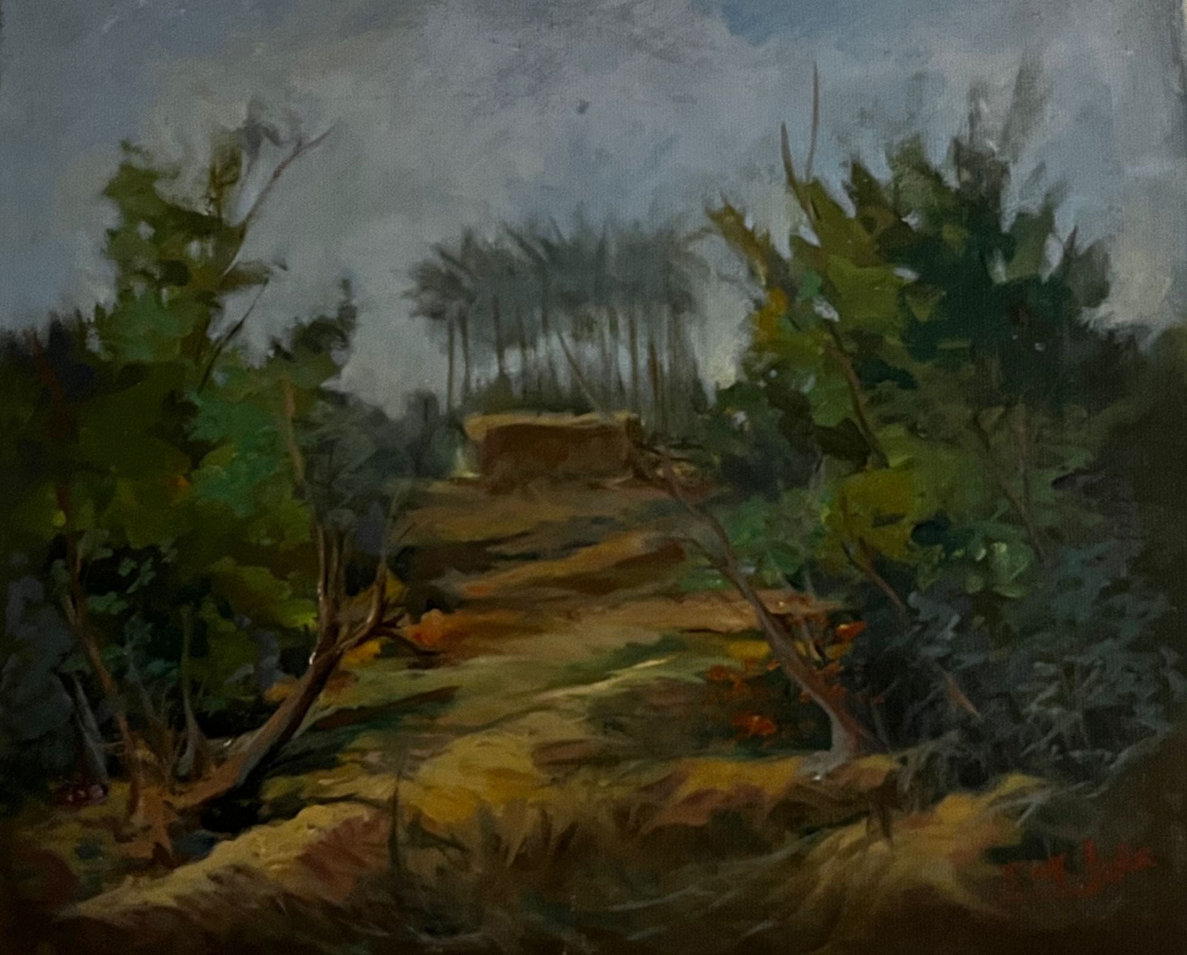 Paysage luxuriant
