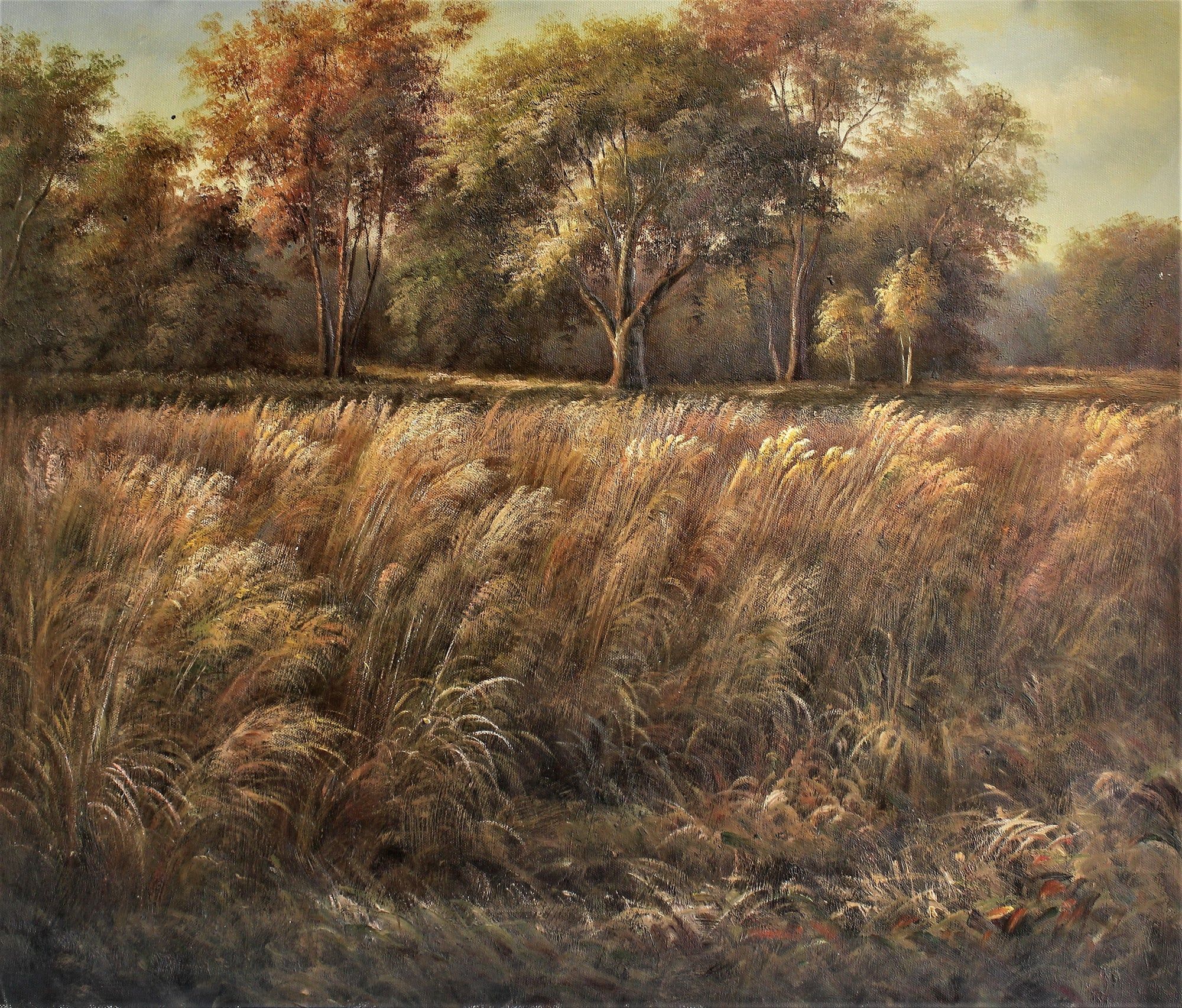 Champ de blé avec des arbres au loin