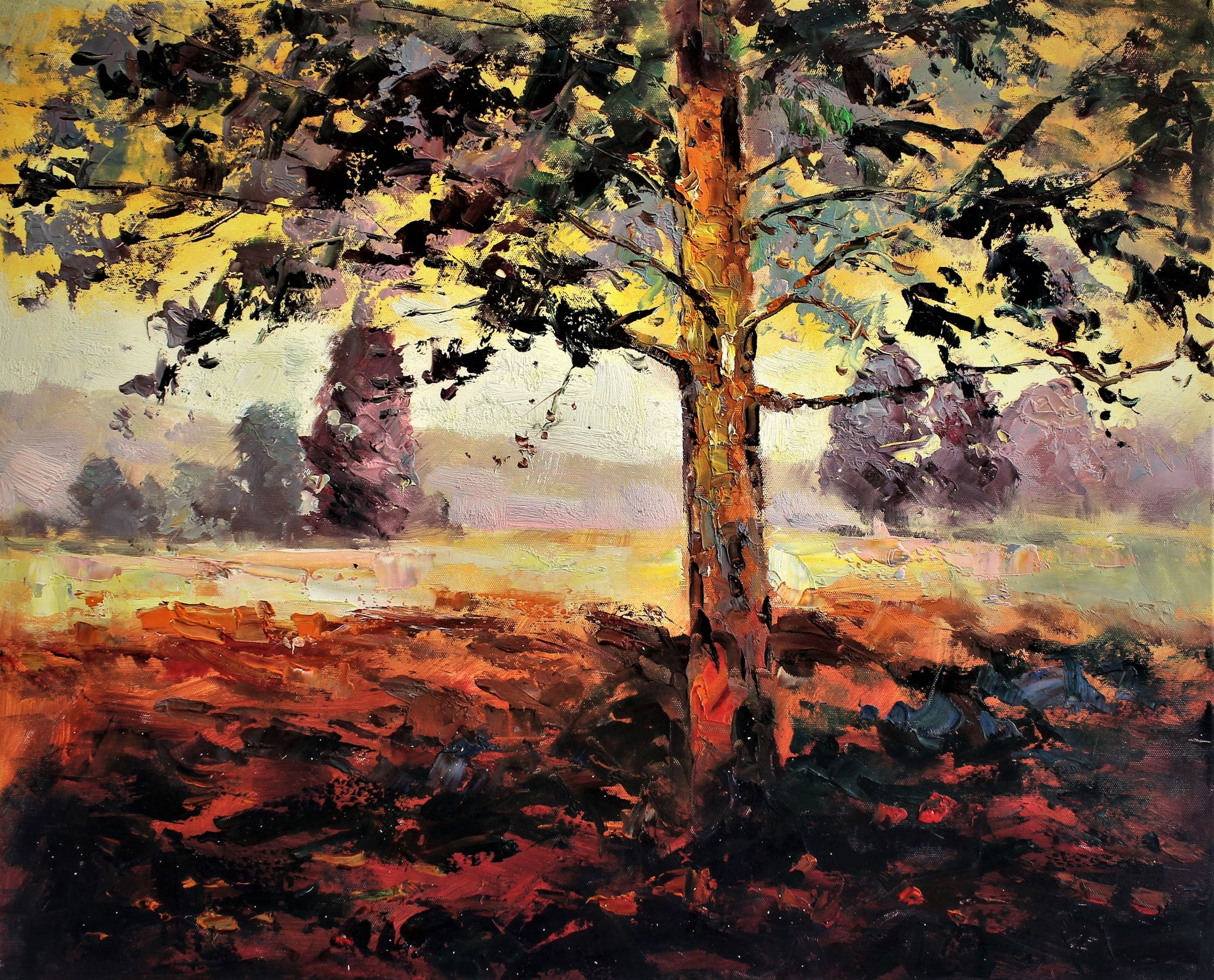 Arbre au milieu d'un champ ensoleillé