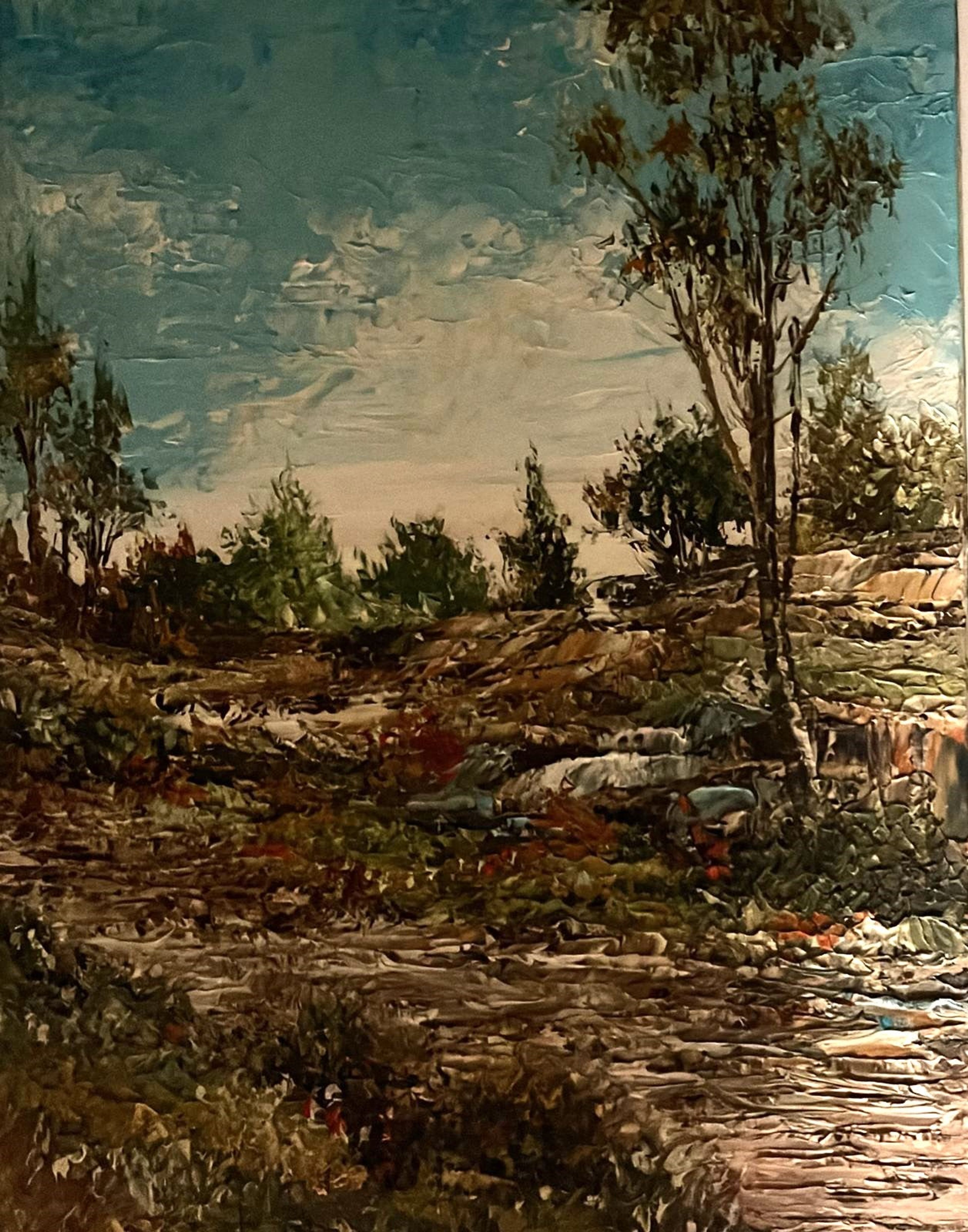 Paysage avec ciel nuageux