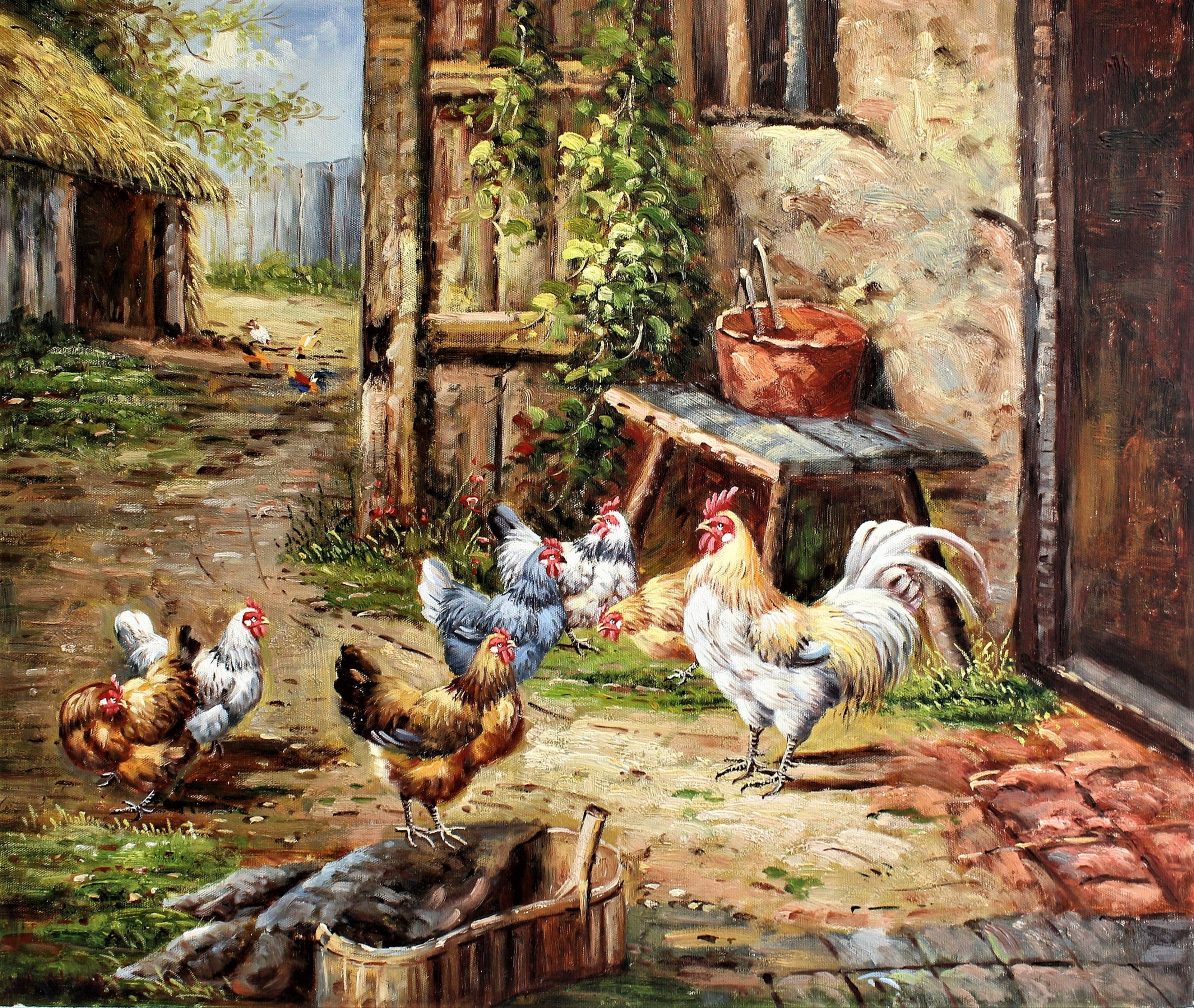 Un groupe de poulets