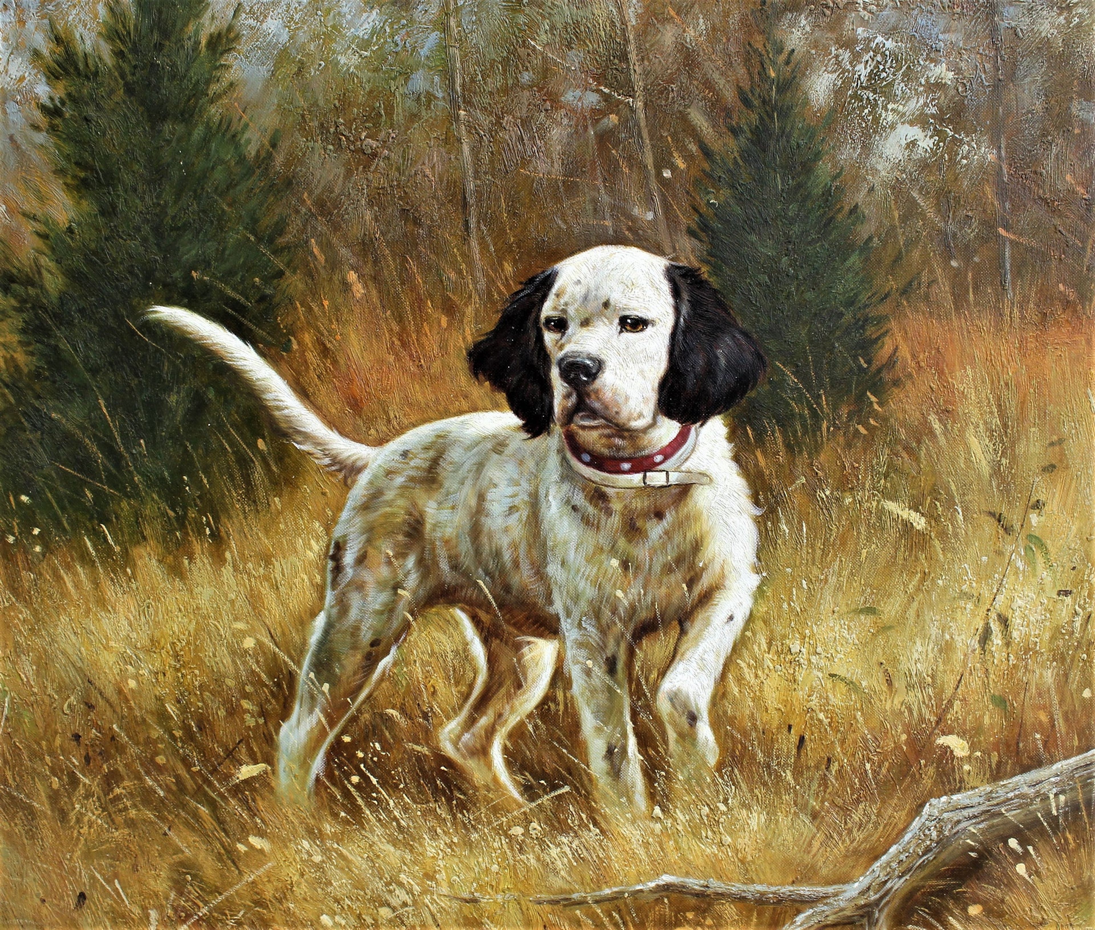 Un chien dans un pré
