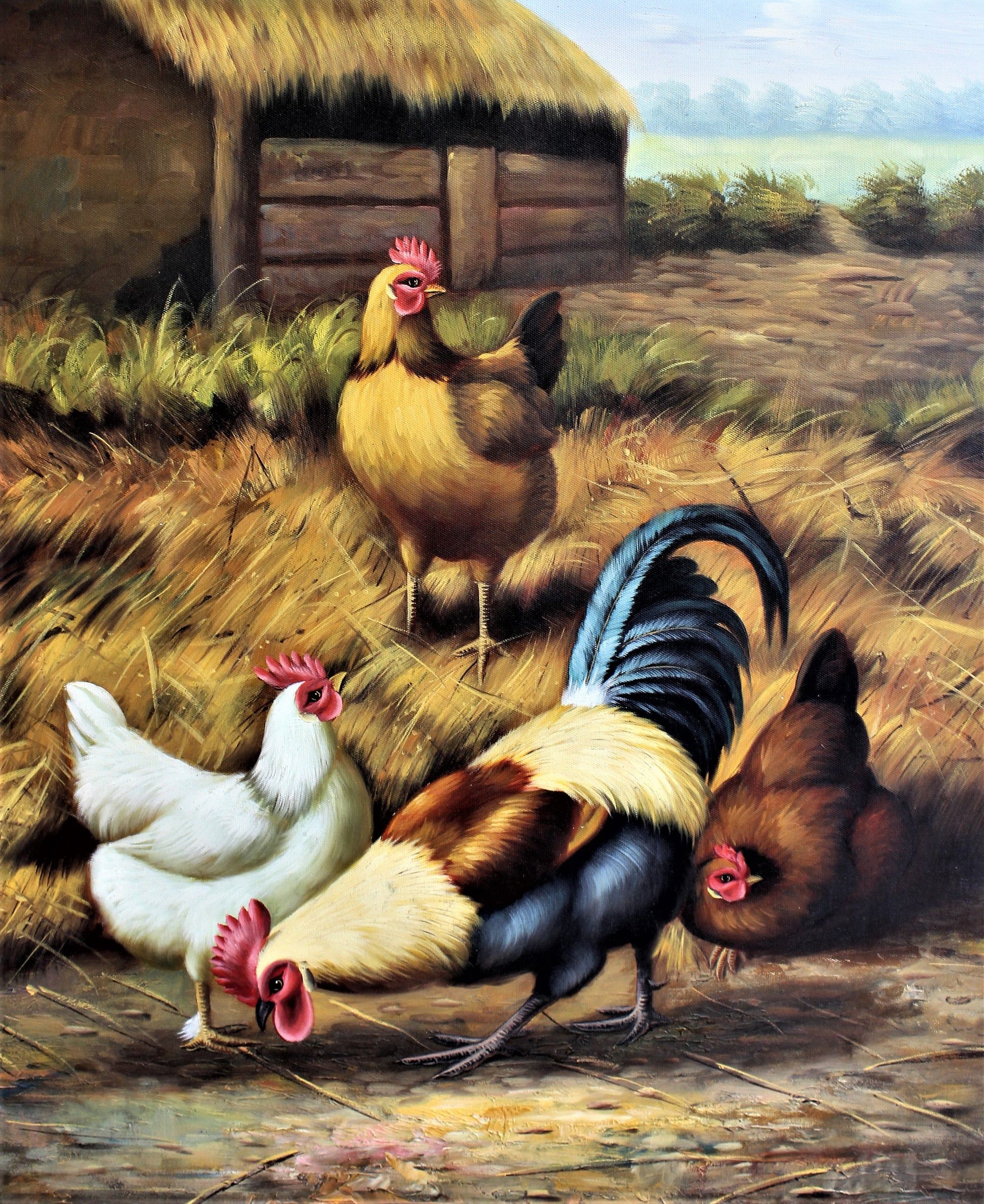 Poulets dans une ferme
