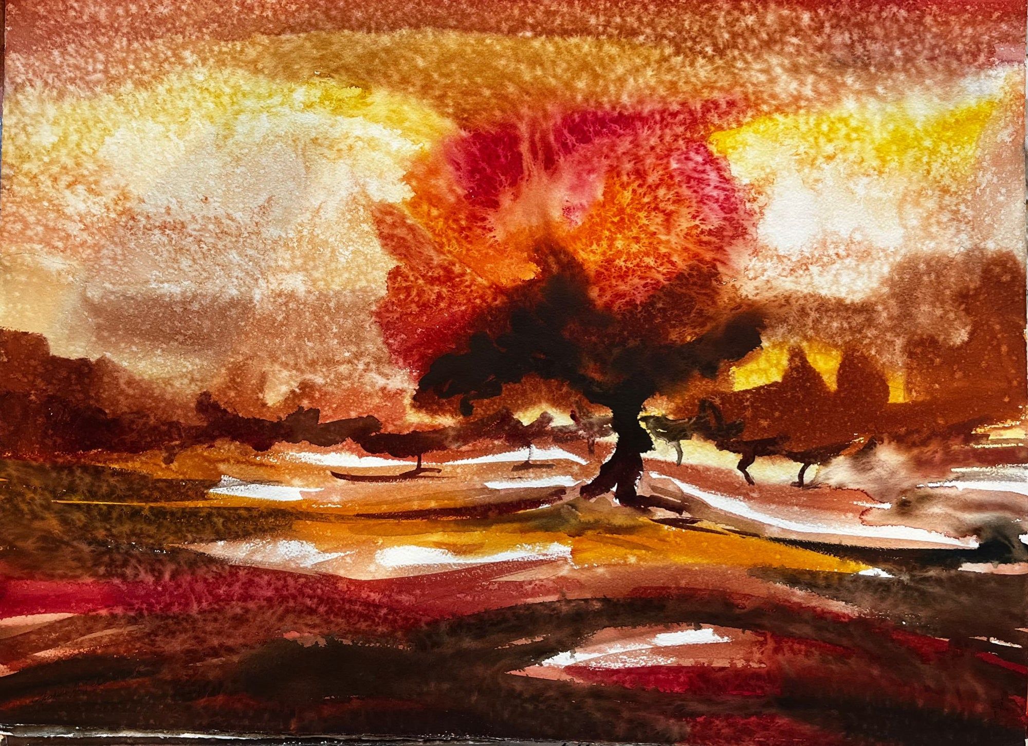 Paysage orange