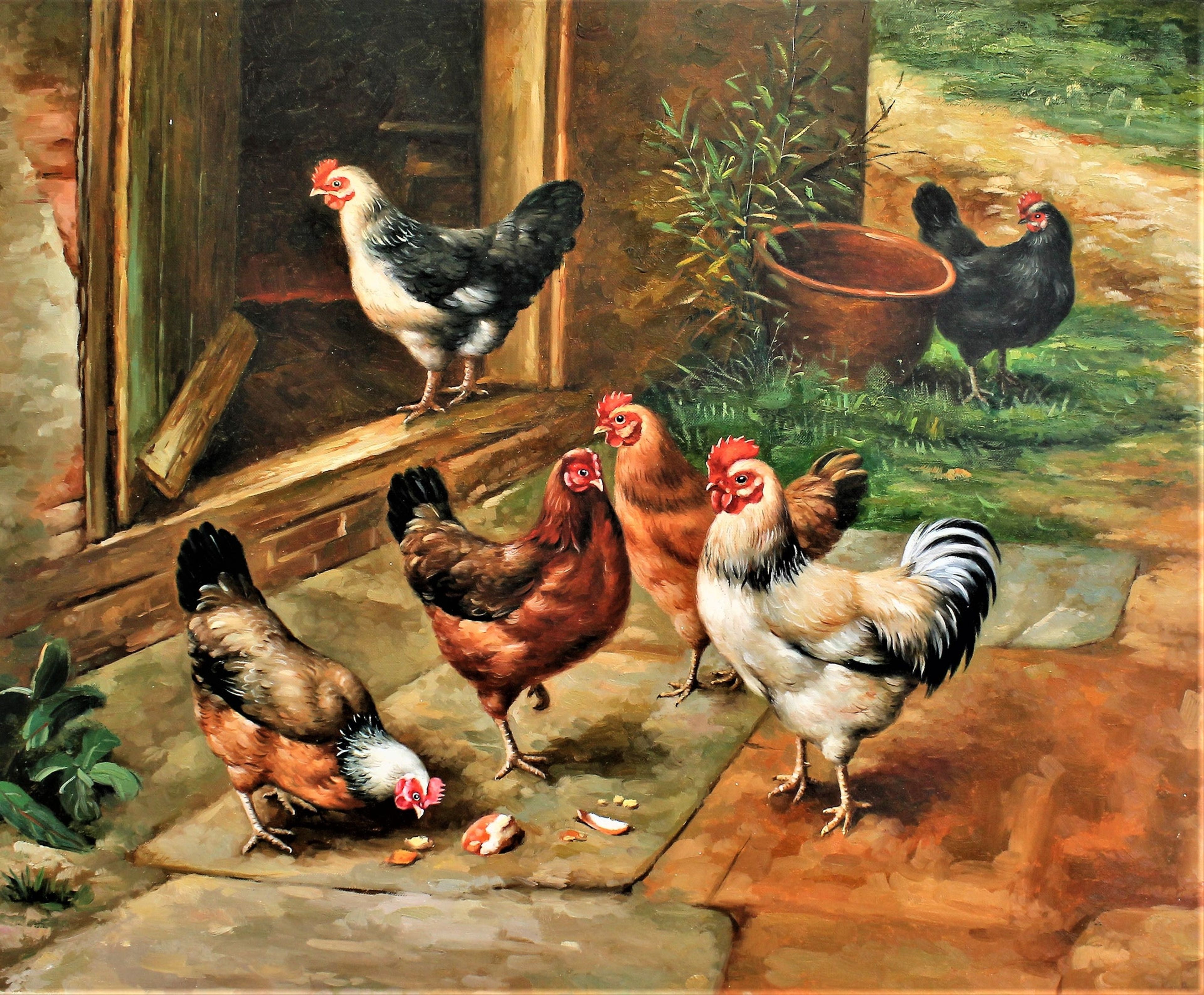 Cinq poulets
