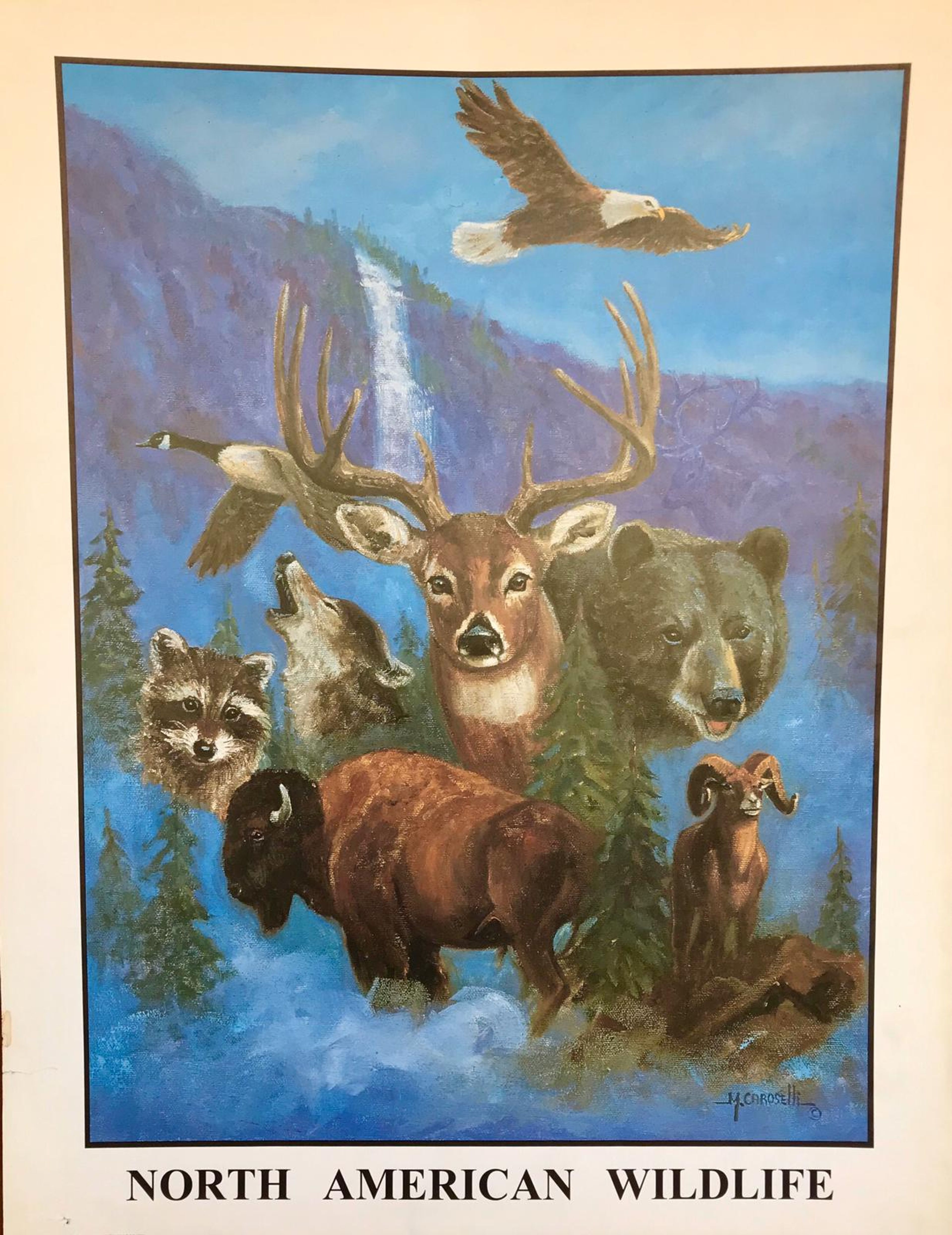 Affiche de la faune nord-américaine