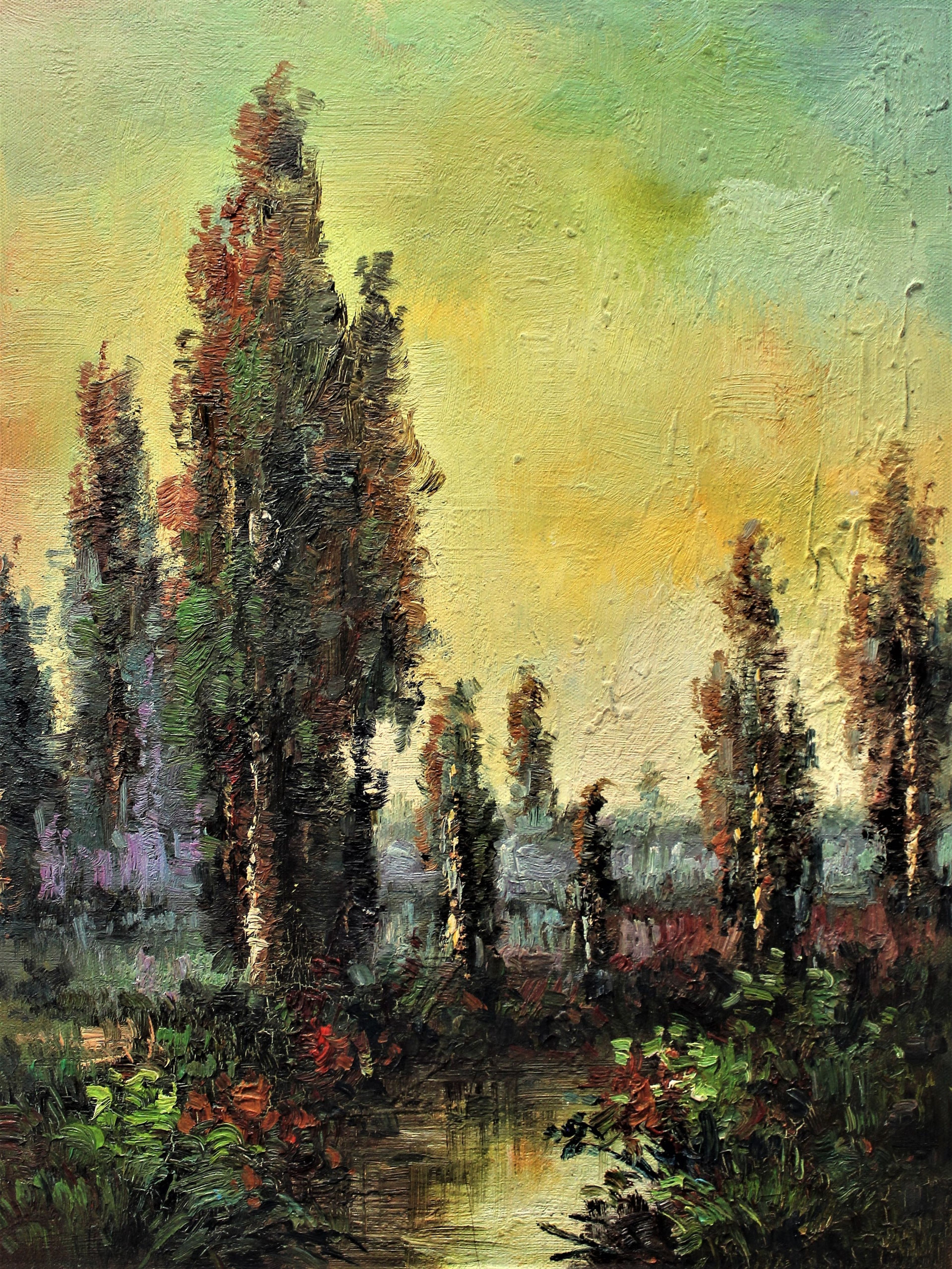 Lever de soleil sur le marais