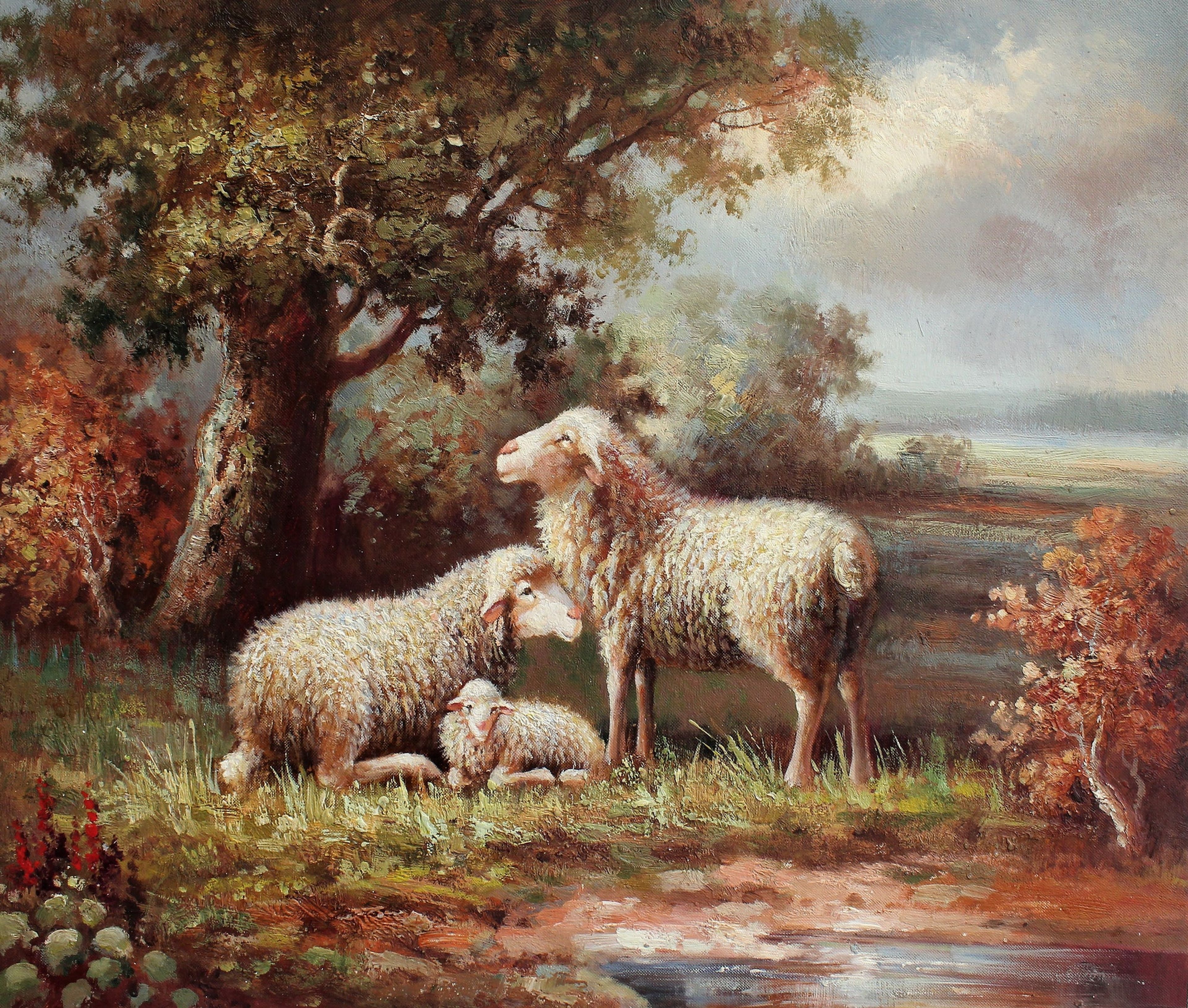 Une famille de moutons