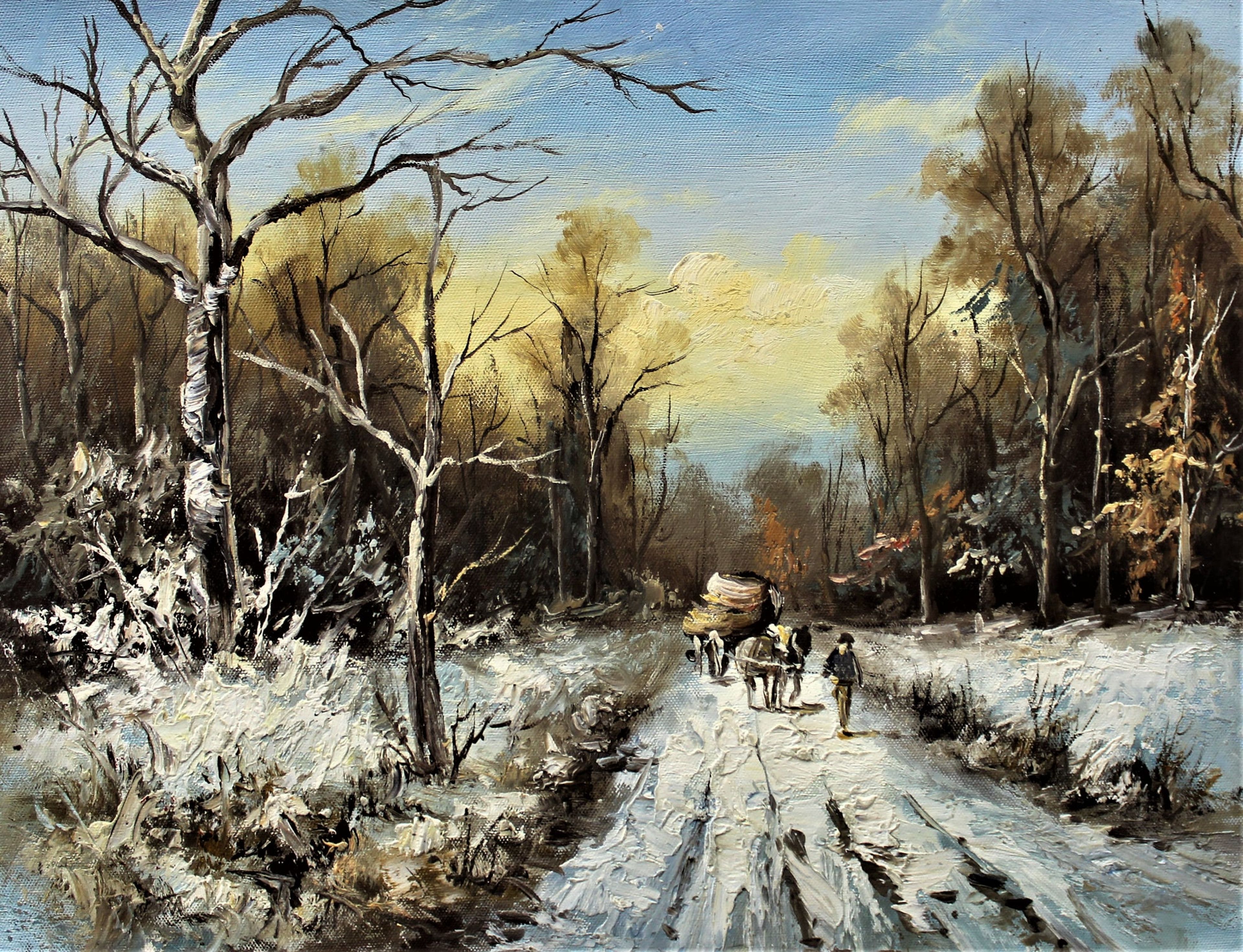 Route enneigée avec calèche