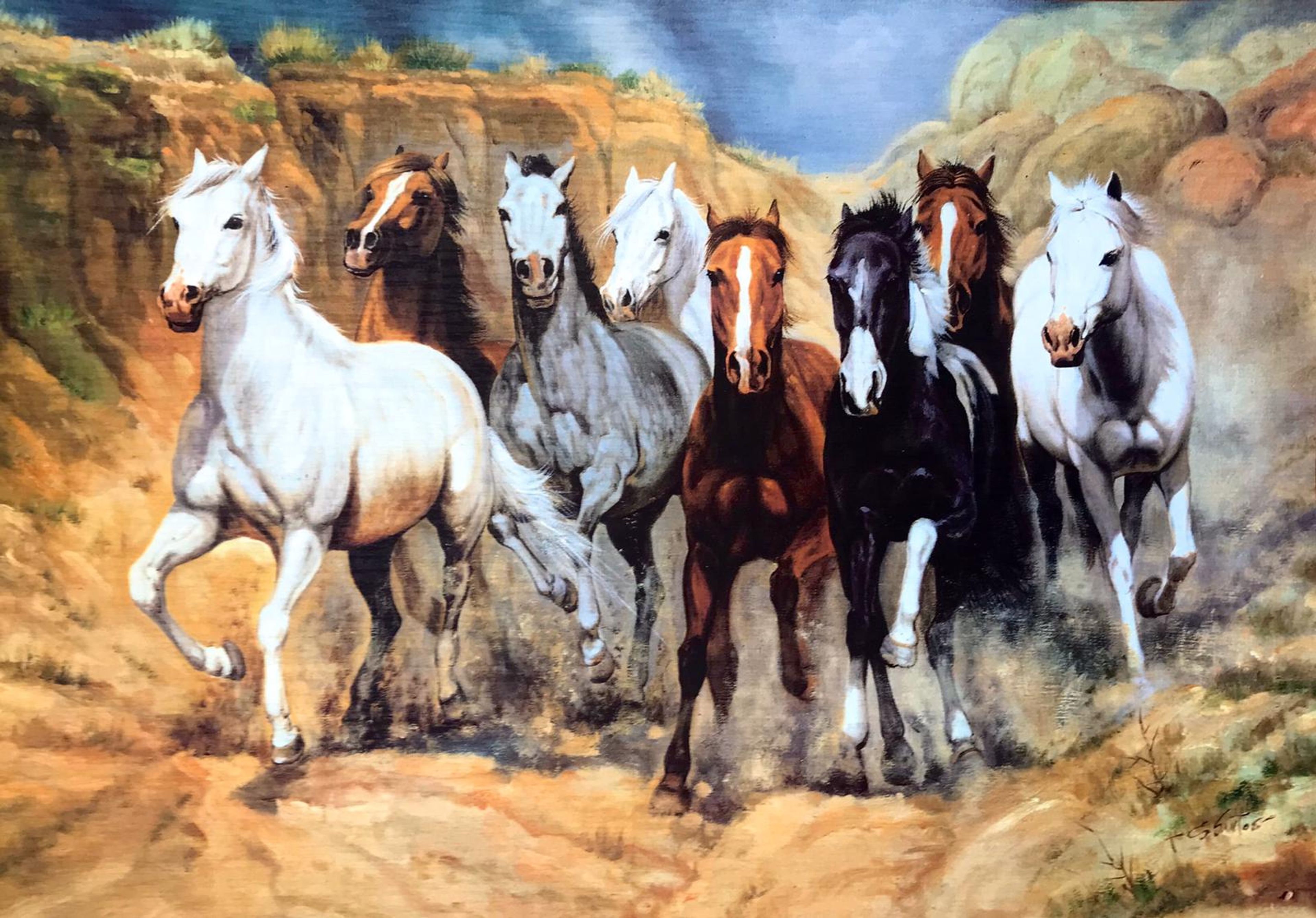 Affiche de chevaux courant dans le désert