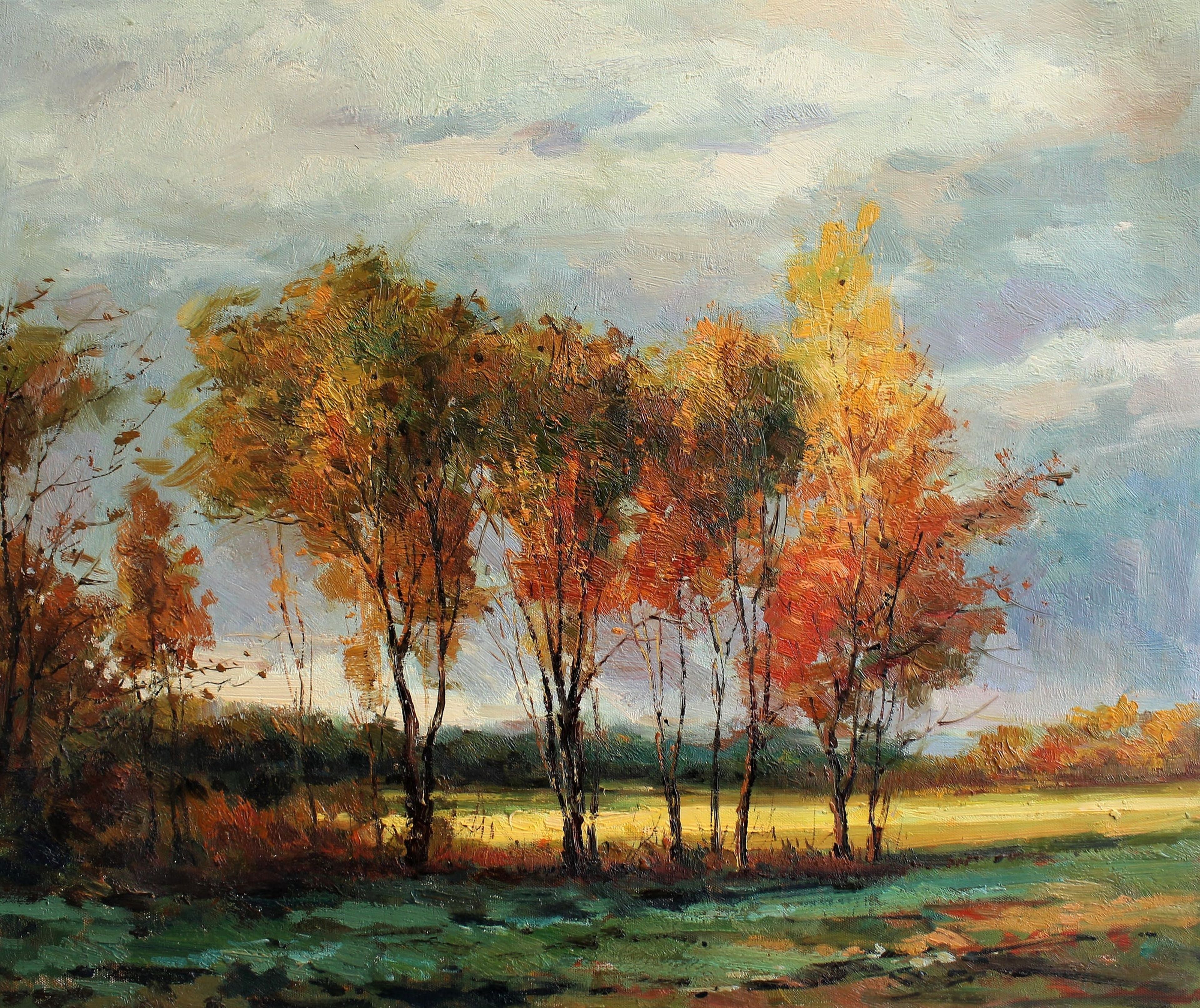 Trees with changing leaves in a field