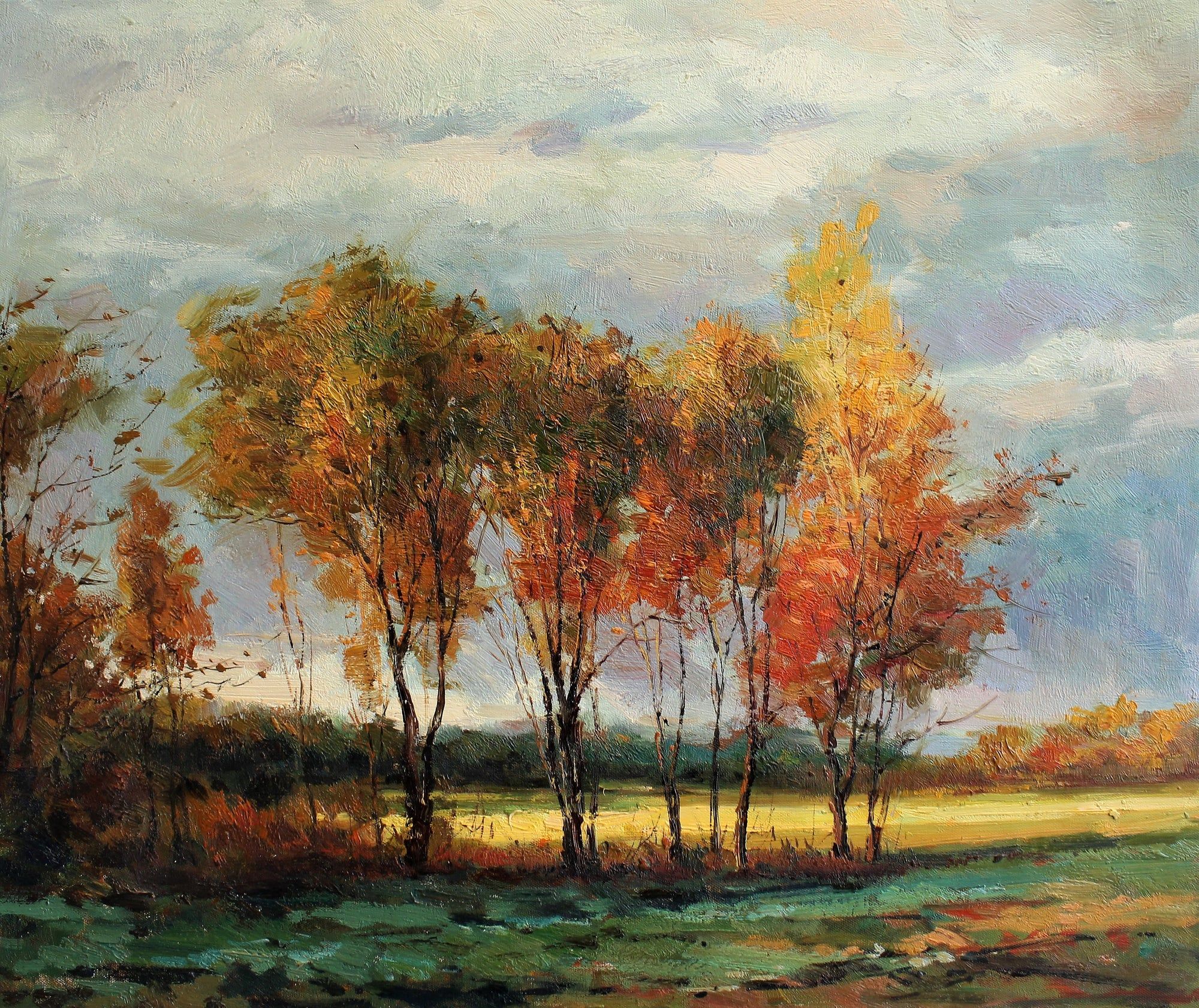 Arbres aux feuilles changeantes dans un champ