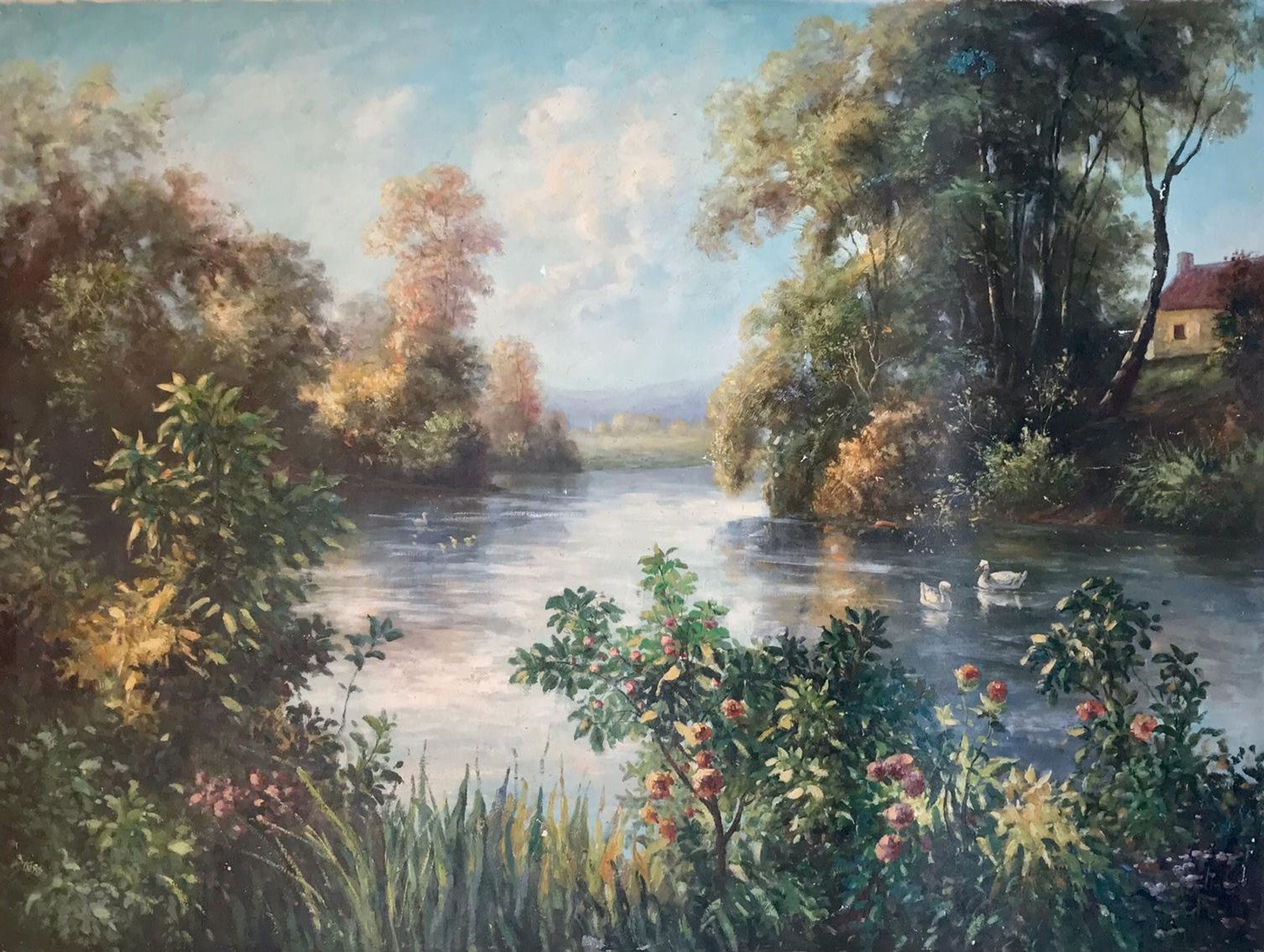 Rivière avec des cygnes