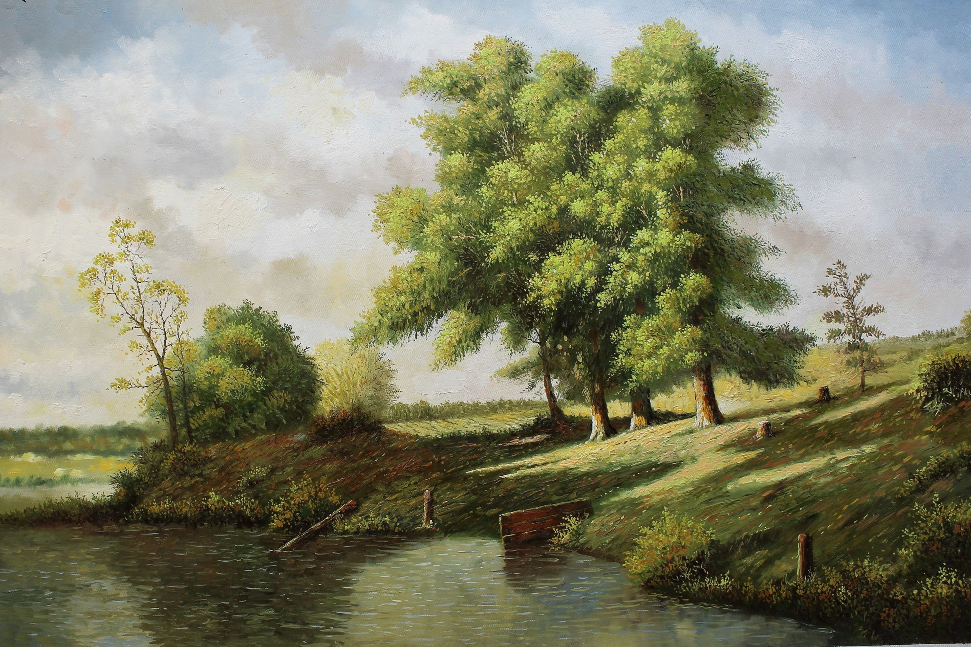 Paysage ensoleillé avec des arbres et un lac