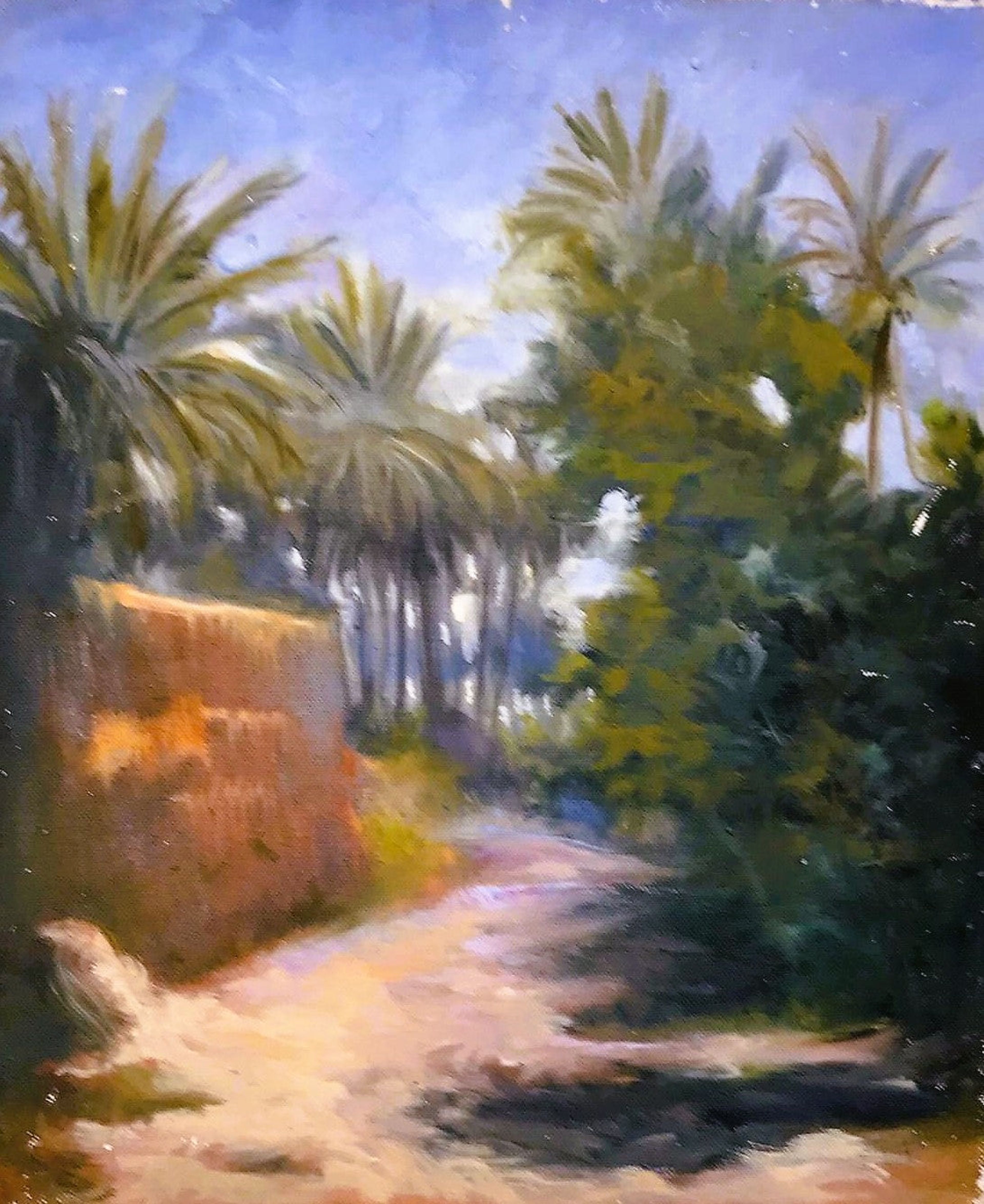 Paysage de palmiers