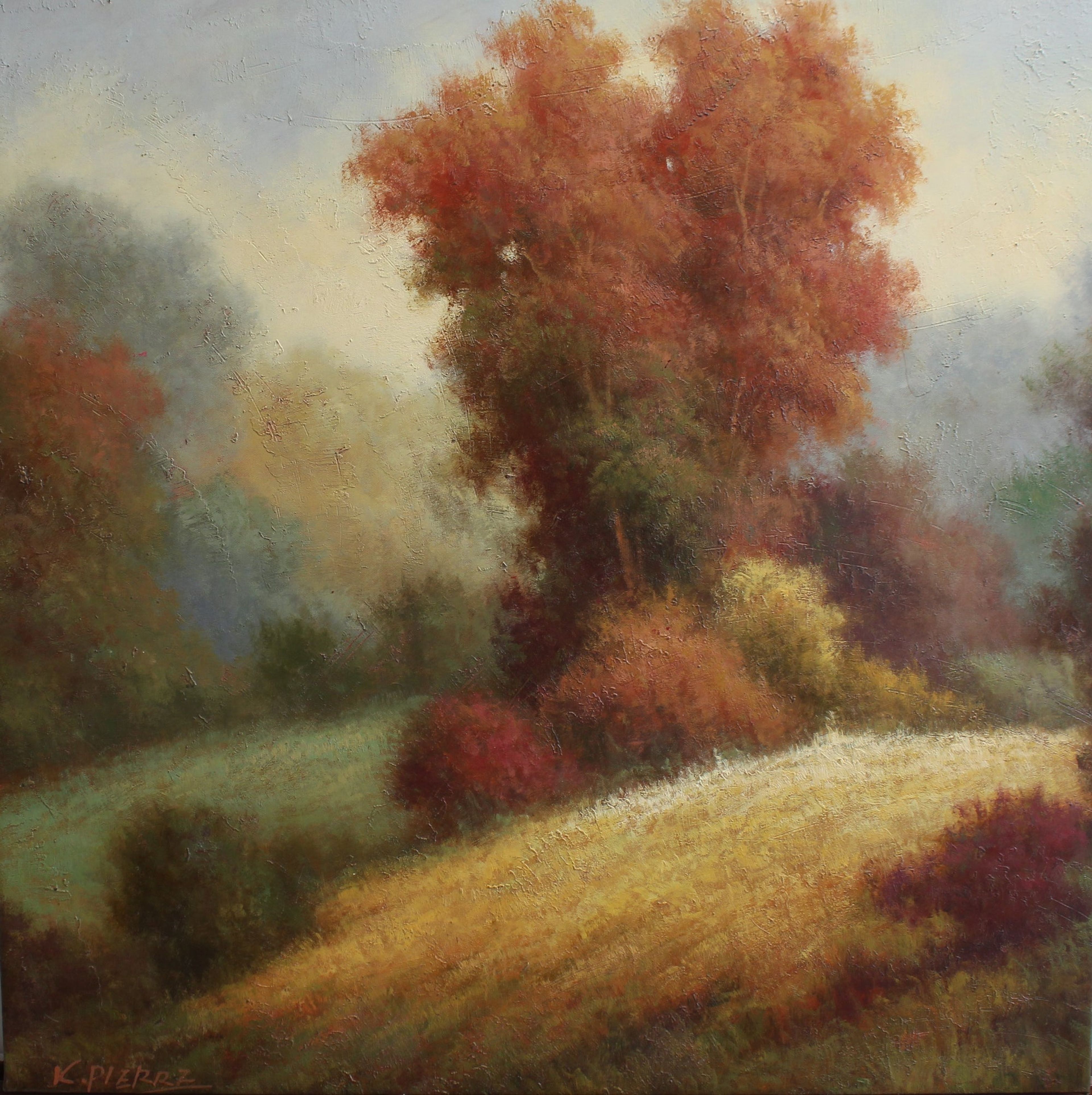 Paysage brumeux d'un champ et d'un arbre aux feuilles orange