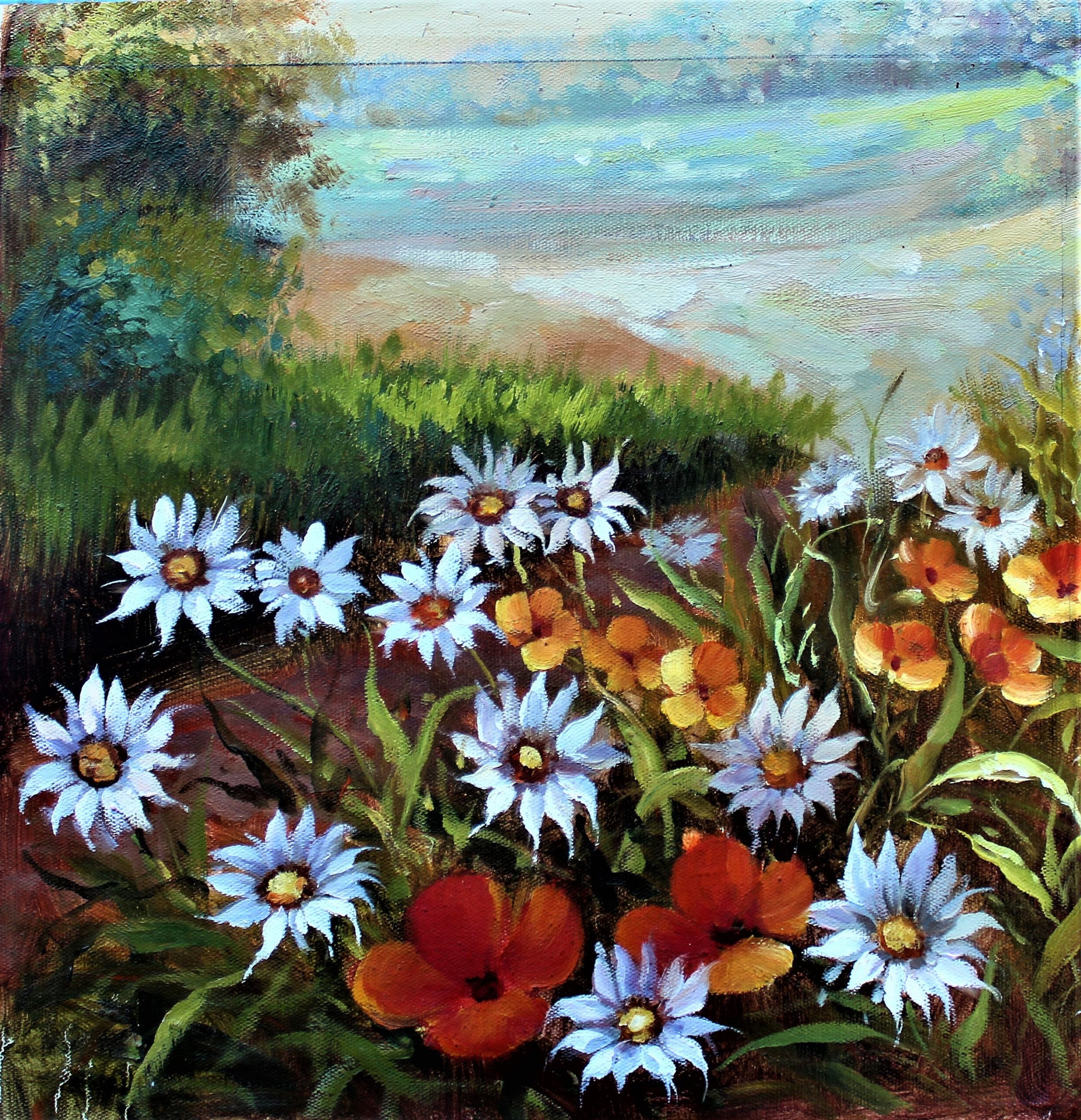 Champ de belles fleurs