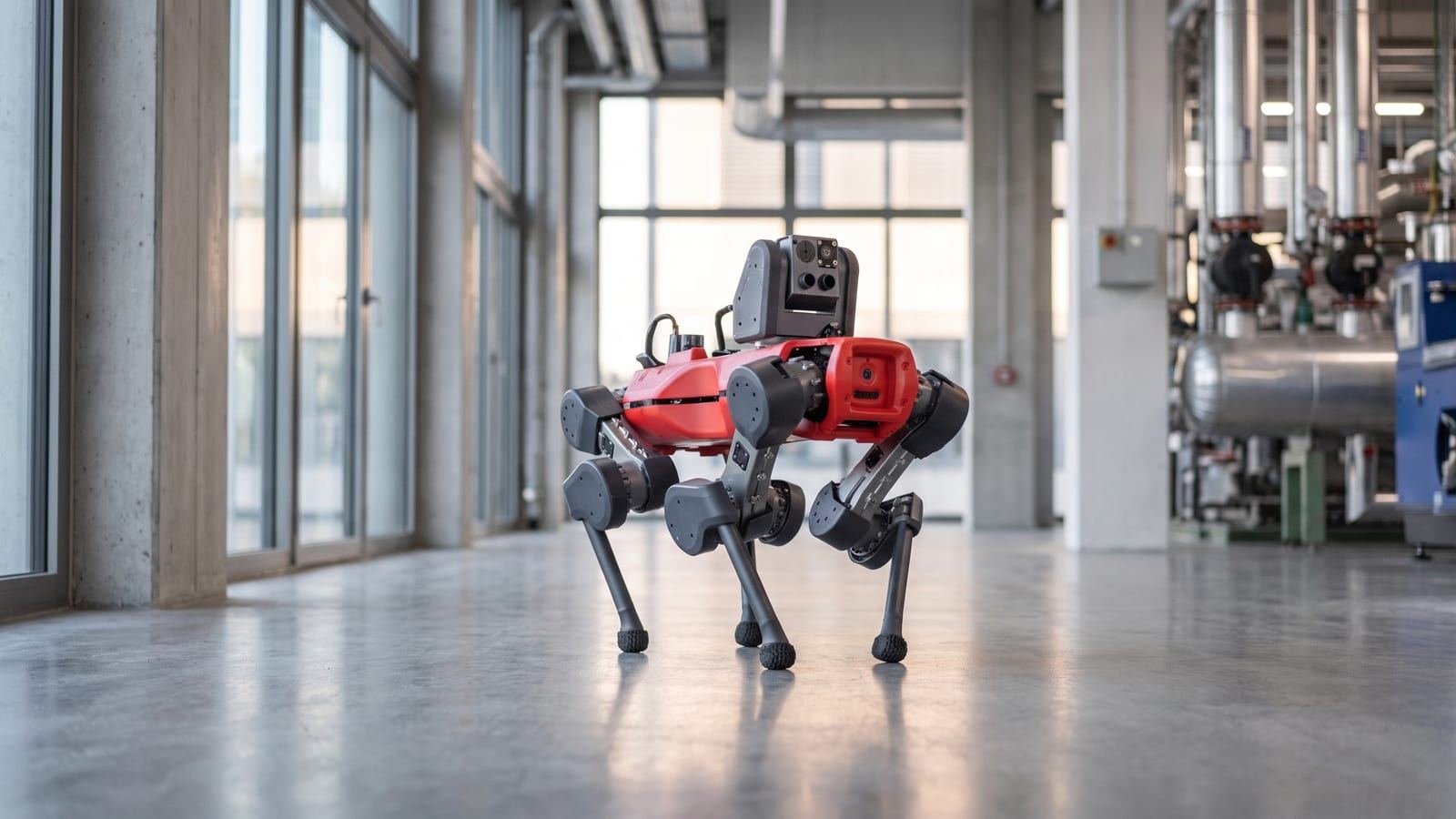 A real red-and-black ANYmal quadruped inspection robot walks through a bright, modern Swiss industrial facility with tall windows on an autonomous inspection patrol, soft natural daylight.