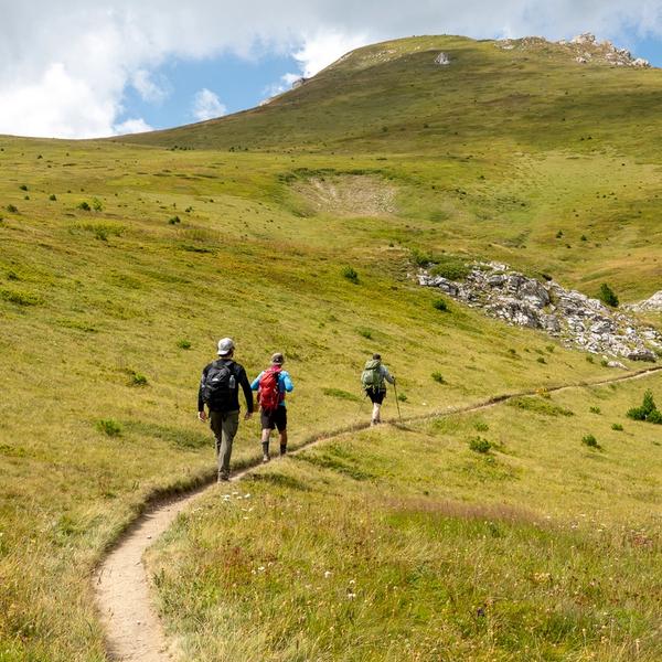 The Accursed Mountains meadows