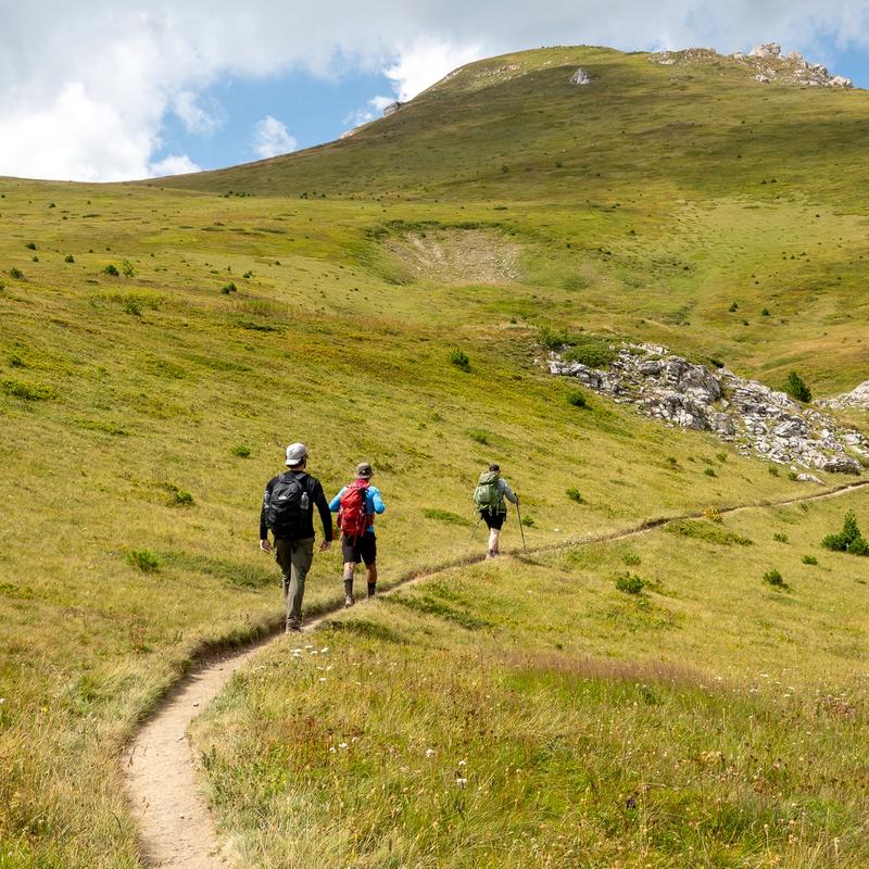 The Accursed Mountains meadows