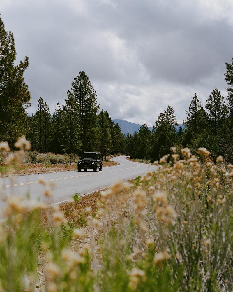 A car driving through a wooded area
