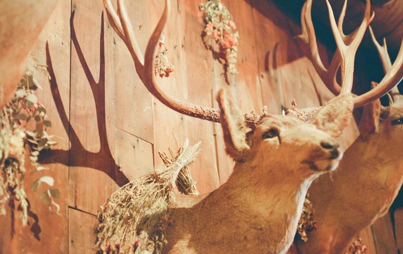 Buck heads lining the walls of The Bar