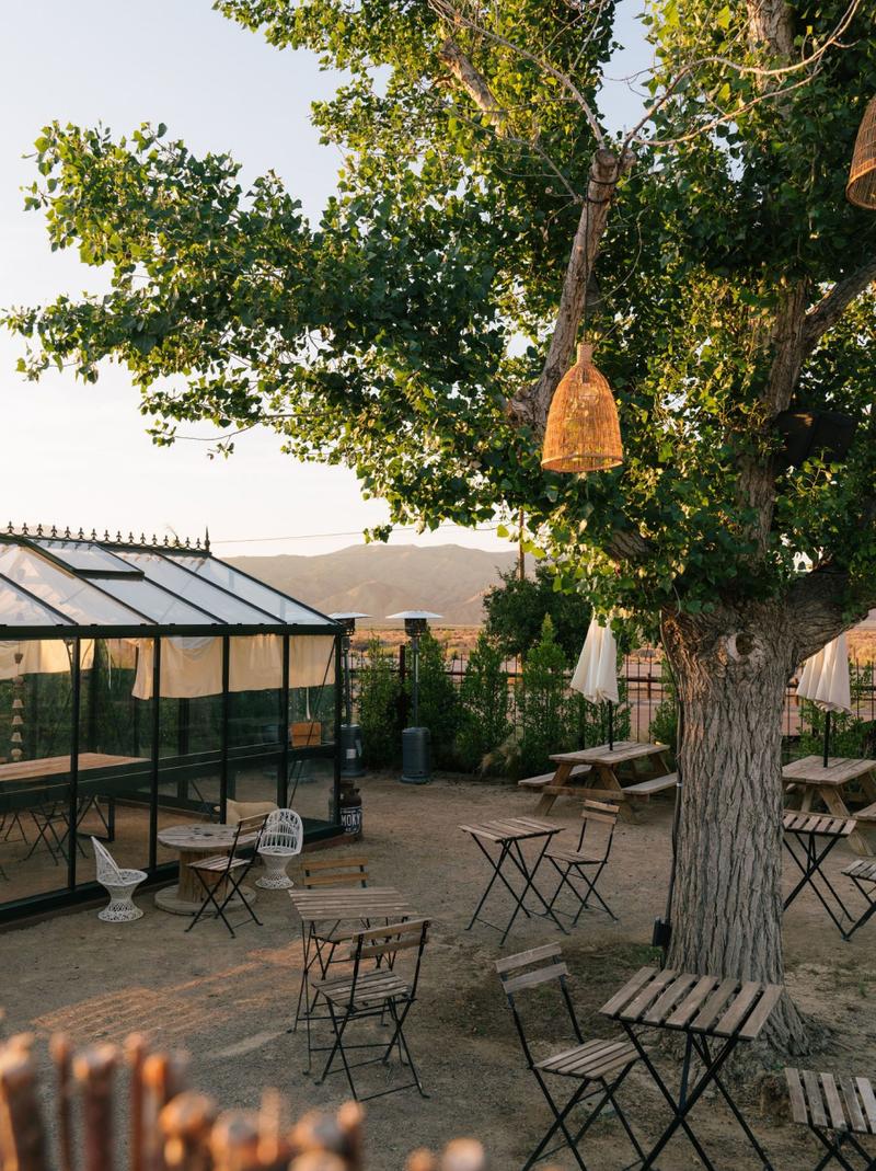 Bistro tables and chairs scattered under a shade tree beside a greenhouse