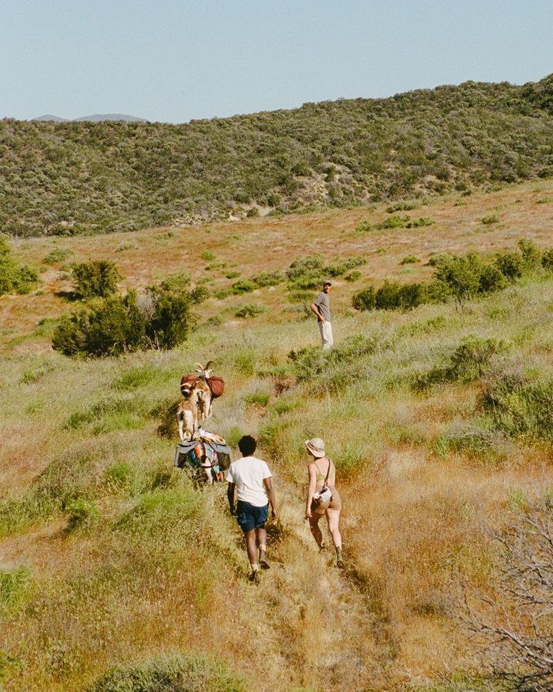 Sam and his goats on the trail above Cuyama