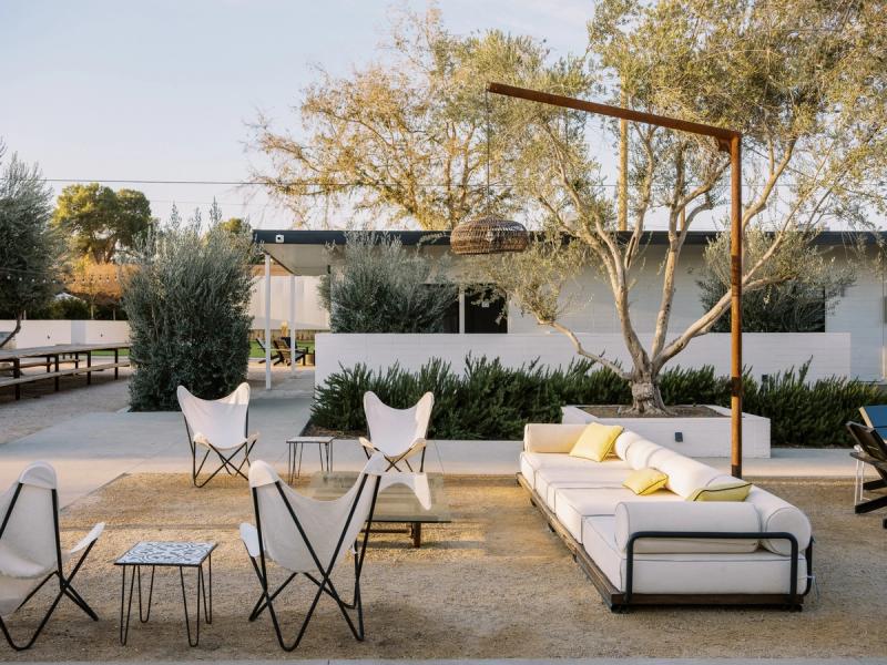 Outdoor lounge with white butterfly chairs and a sofa beneath an olive tree