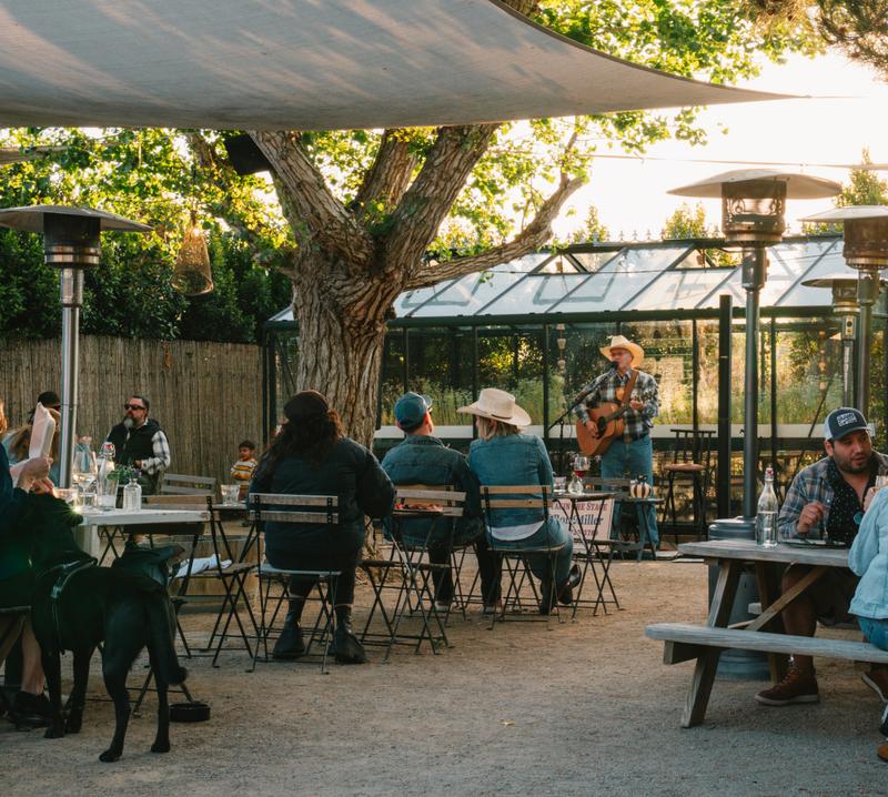 Guests dining at picnic tables under the trees, a dog lying in the shade nearby.