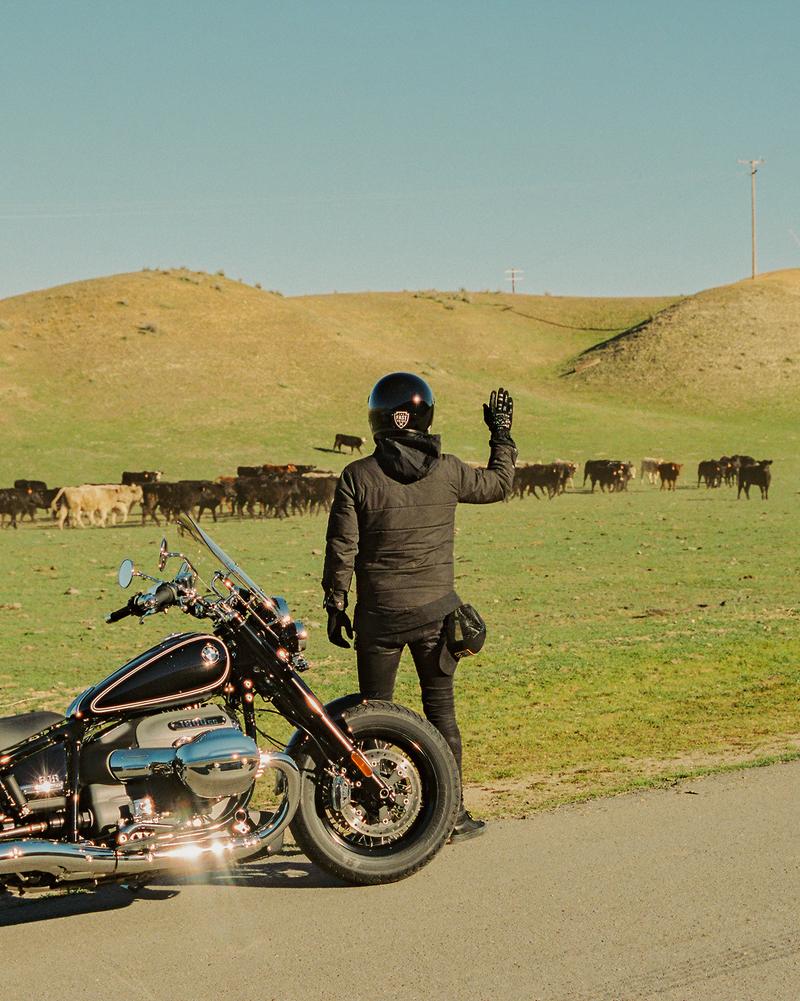 A motorcyclist stopping to wave to cows along the side of a country road