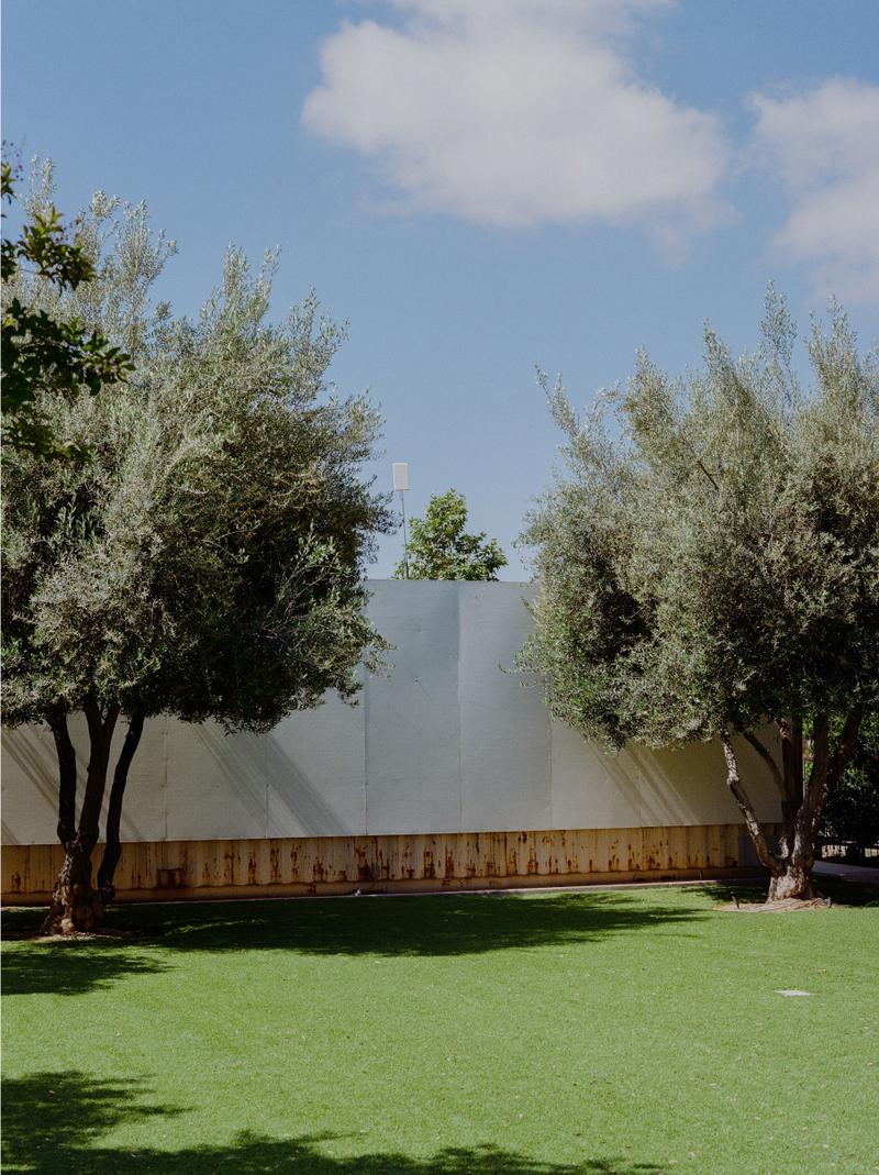 Olive trees flanking a plain wall along a bright green lawn