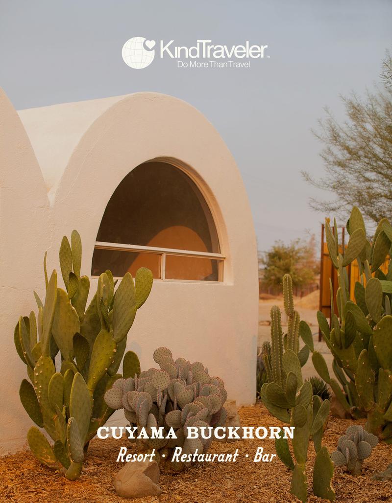 Cacti in front of a white adobe arch at the Khalili Cantina, Blue Sky Center, with the Kind Traveler and Cuyama Buckhorn logos.