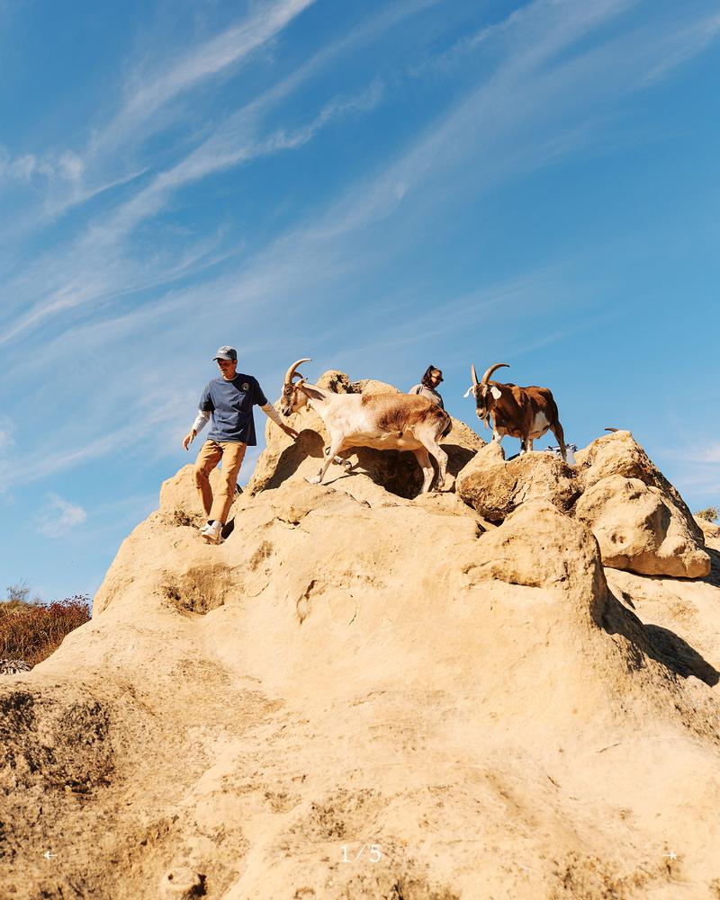 Sandstone rock formations along the Deer Loop trail