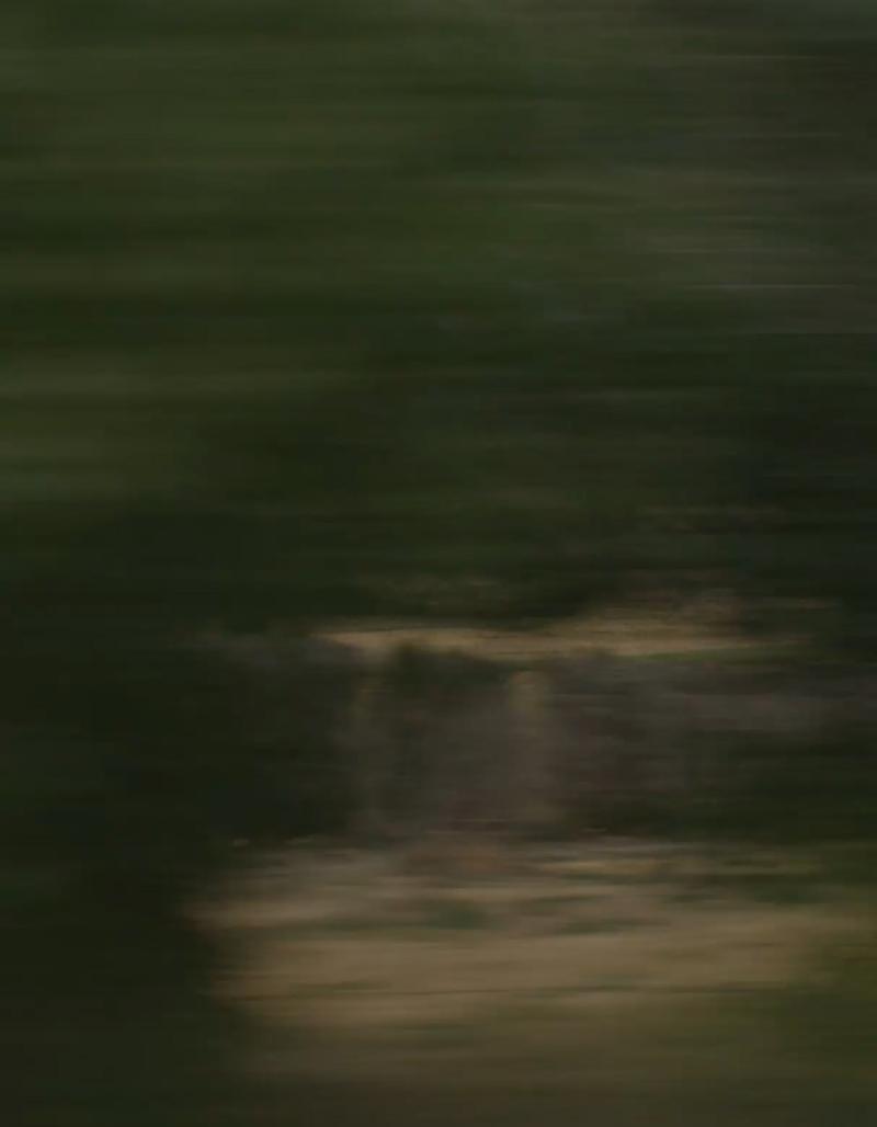 A blurred pan of the valley from a moving car at dusk.