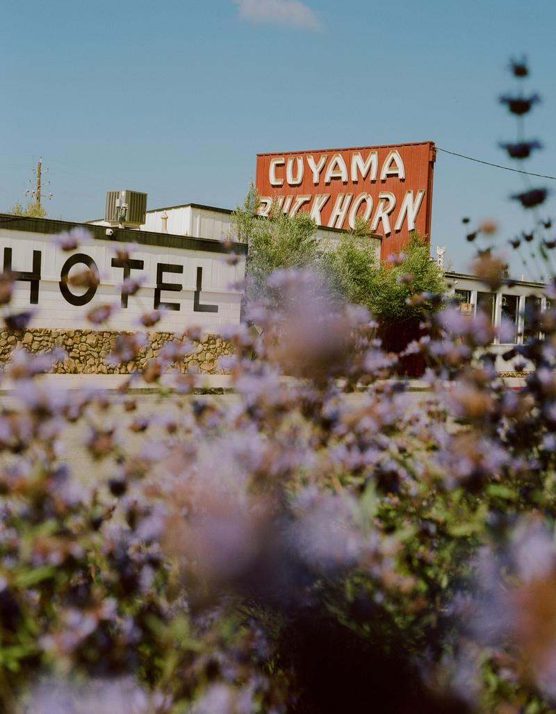 The red Cuyama Buckhorn sign and the hotel wall, seen through purple sage in bloom.