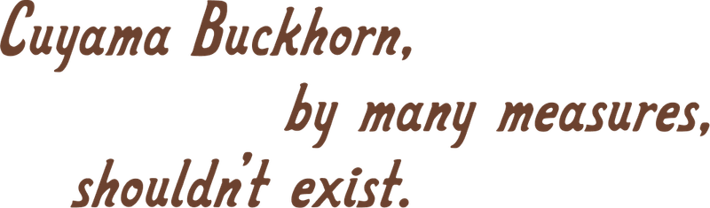Cuyama Buckhorn, by many measures, shouldn't exist.