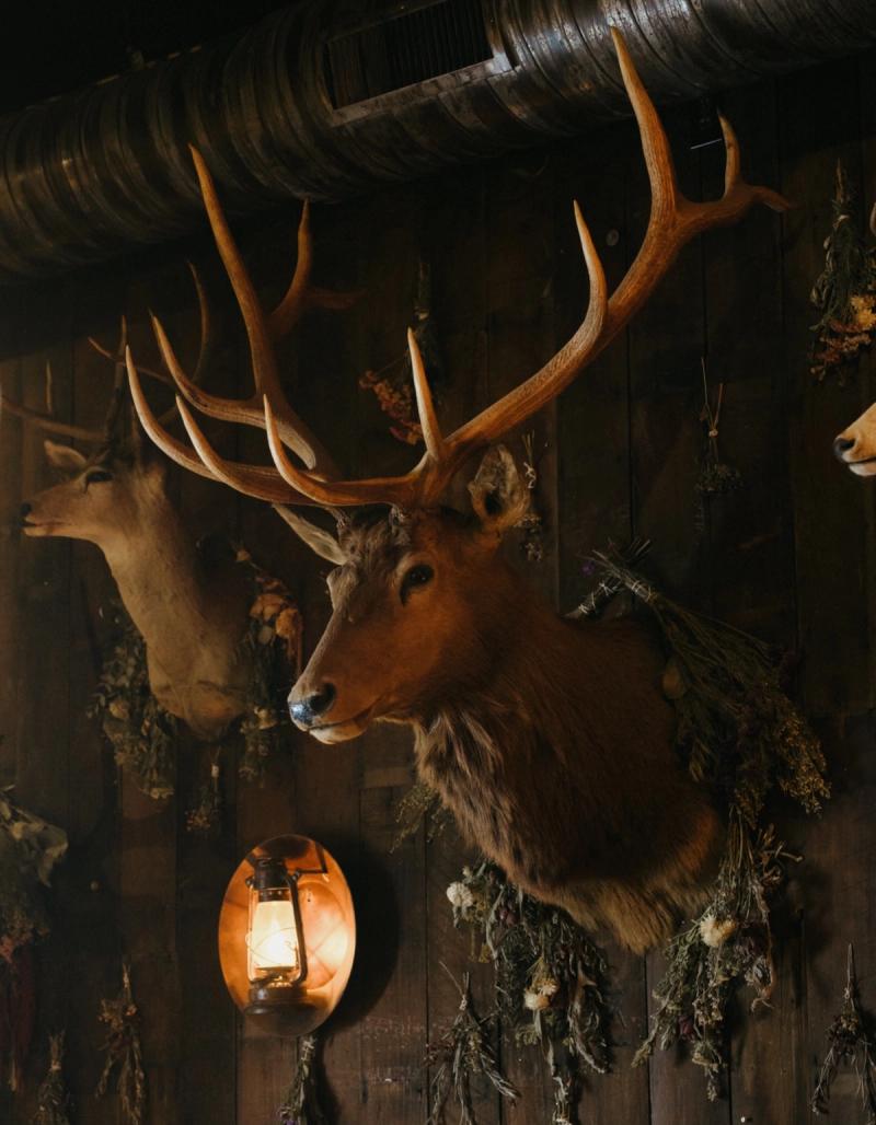 Mounted elk and deer heads on a dark wood-paneled wall, lit by a lantern sconce and hung with dried flowers.