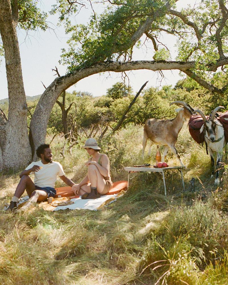 A pack goat on the Ranch to Branch trail