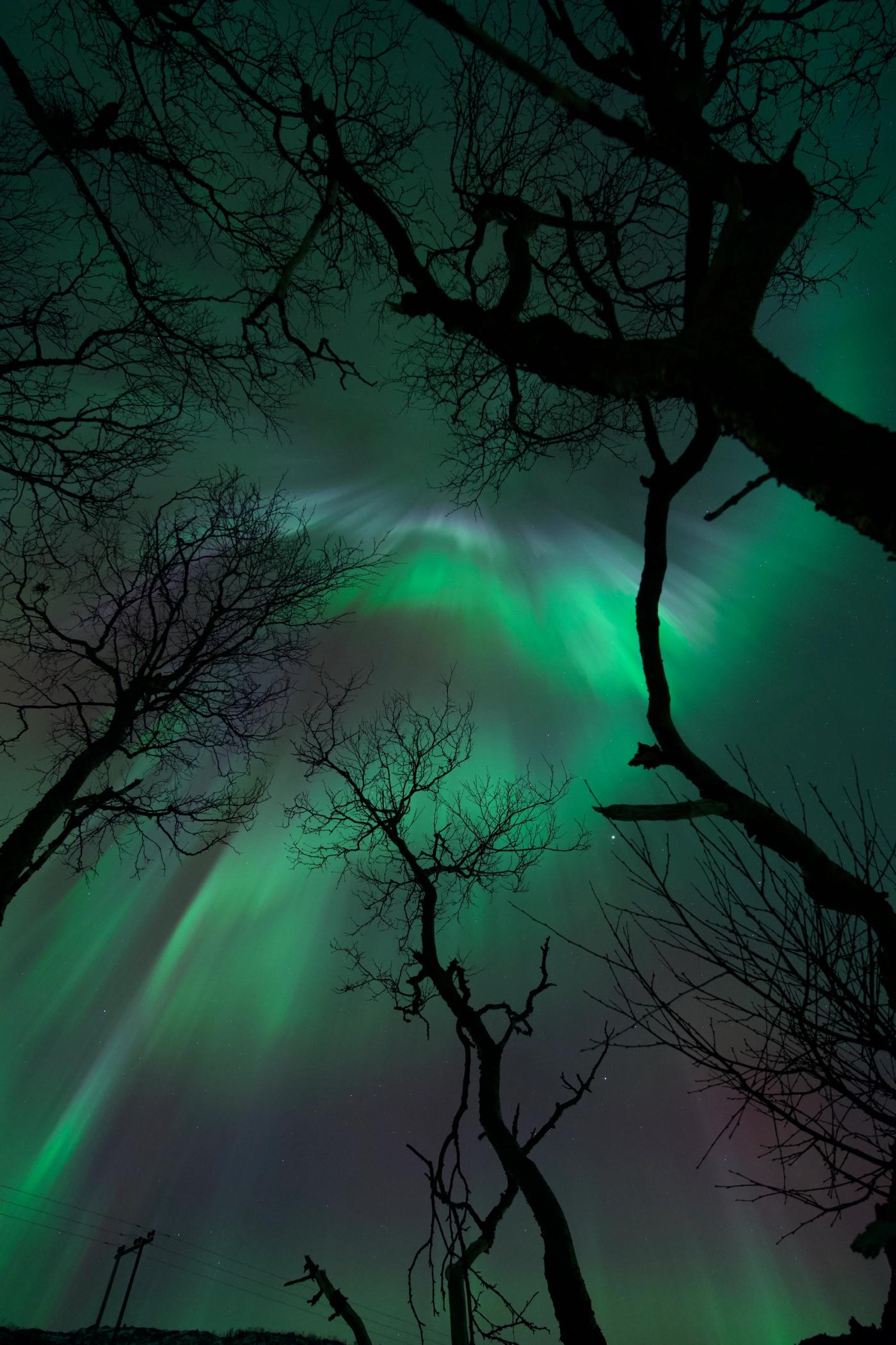 Aurora