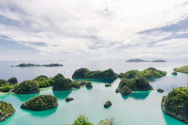 The jade lagoons and karst islets of Piaynemo in Raja Ampat seen from the viewpoint