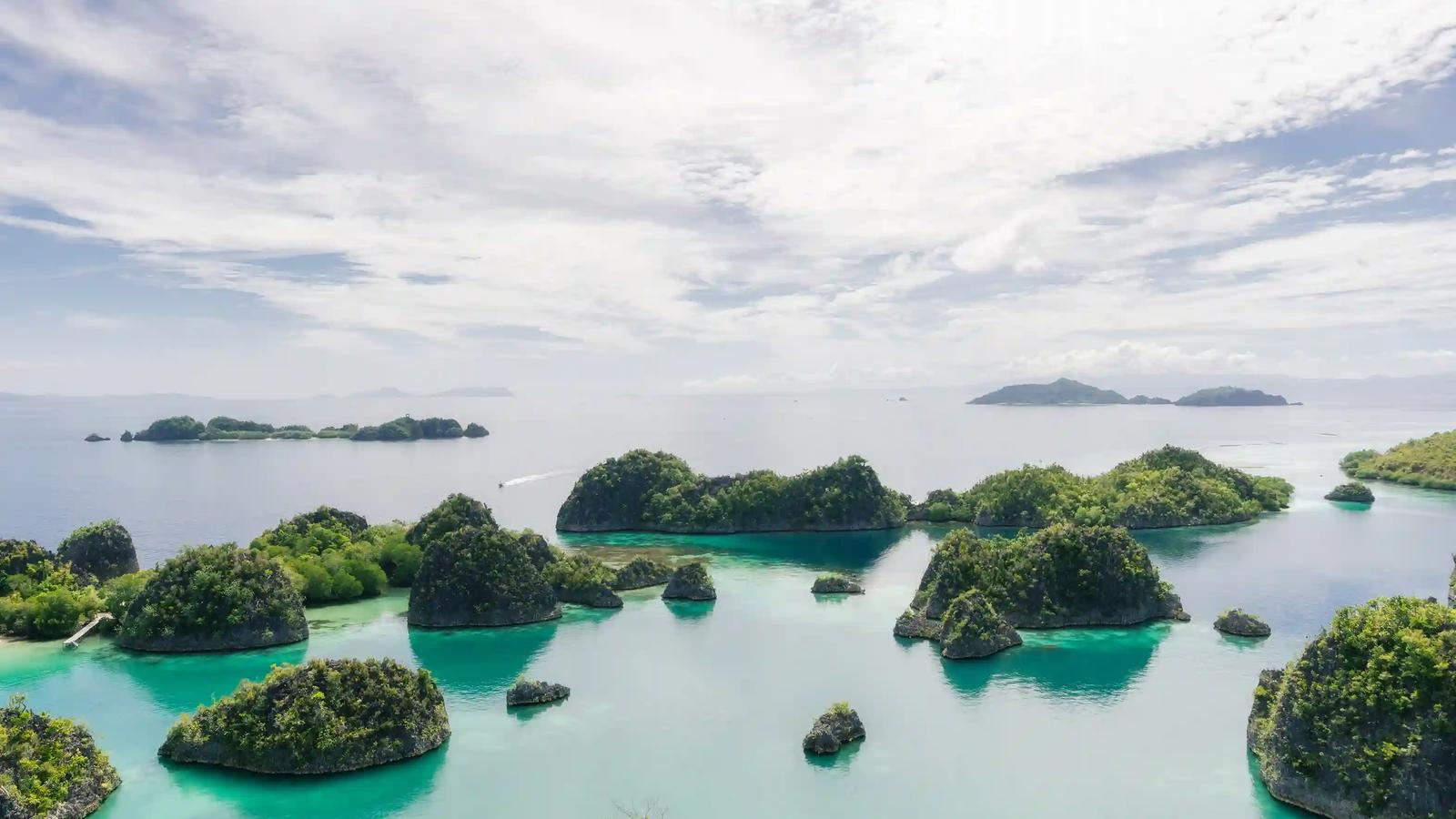 The jade lagoons and karst islets of Piaynemo in Raja Ampat seen from the viewpoint