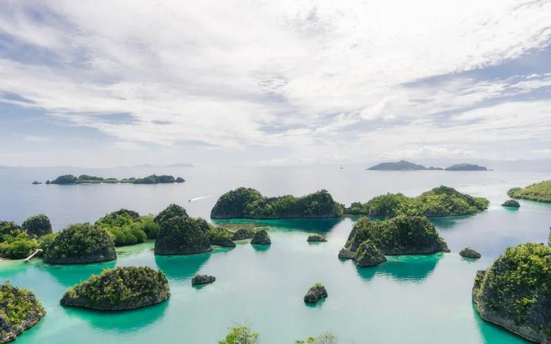 The jade lagoons and karst islets of Piaynemo in Raja Ampat seen from the viewpoint