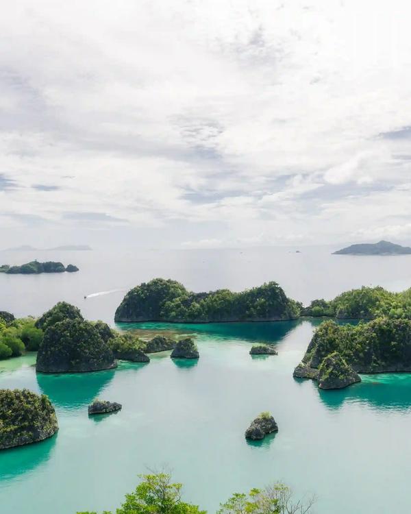 The jade lagoons and karst islets of Piaynemo in Raja Ampat seen from the viewpoint