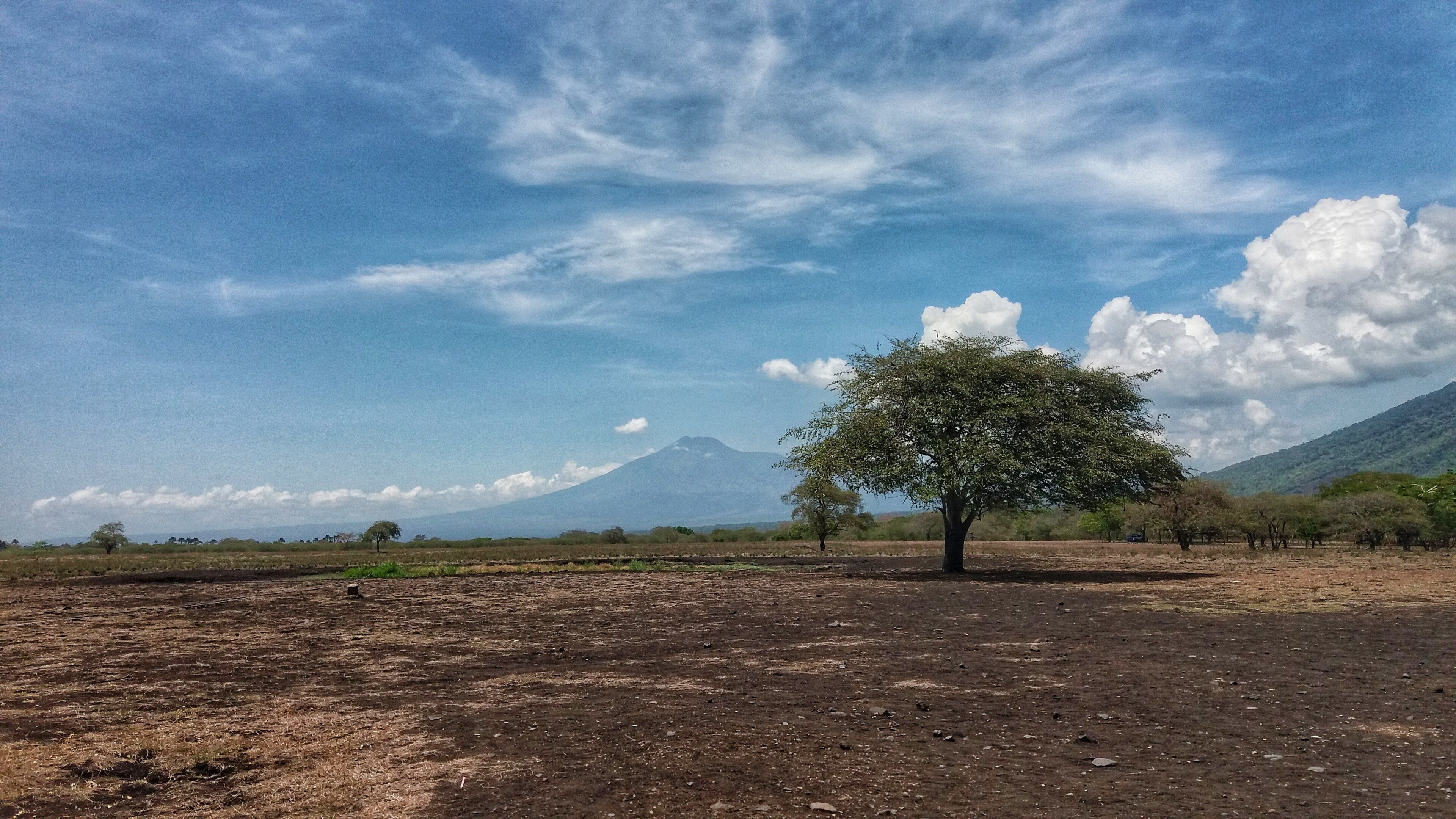 7 Days of Wildlife in East Java: Baluran, Alas Purwo and Sukamade — Taman Nasional Baluran