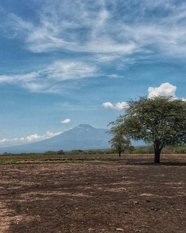 7 Days of Wildlife in East Java: Baluran, Alas Purwo and Sukamade — Taman Nasional Baluran