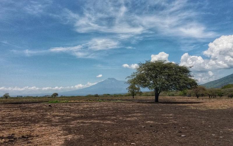 7 Days of Wildlife in East Java: Baluran, Alas Purwo and Sukamade — Taman Nasional Baluran