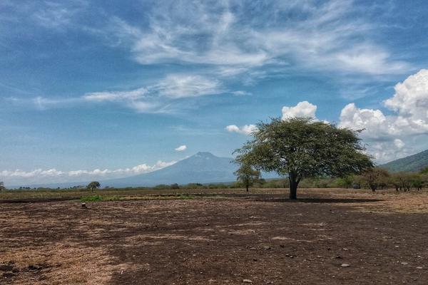 7 Days of Wildlife in East Java: Baluran, Alas Purwo and Sukamade — Taman Nasional Baluran